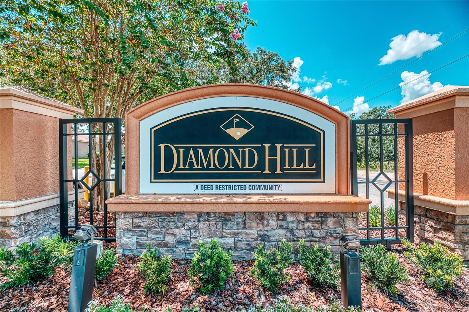 1438 EMERALD HILL WAY, Valrico, FL 33594