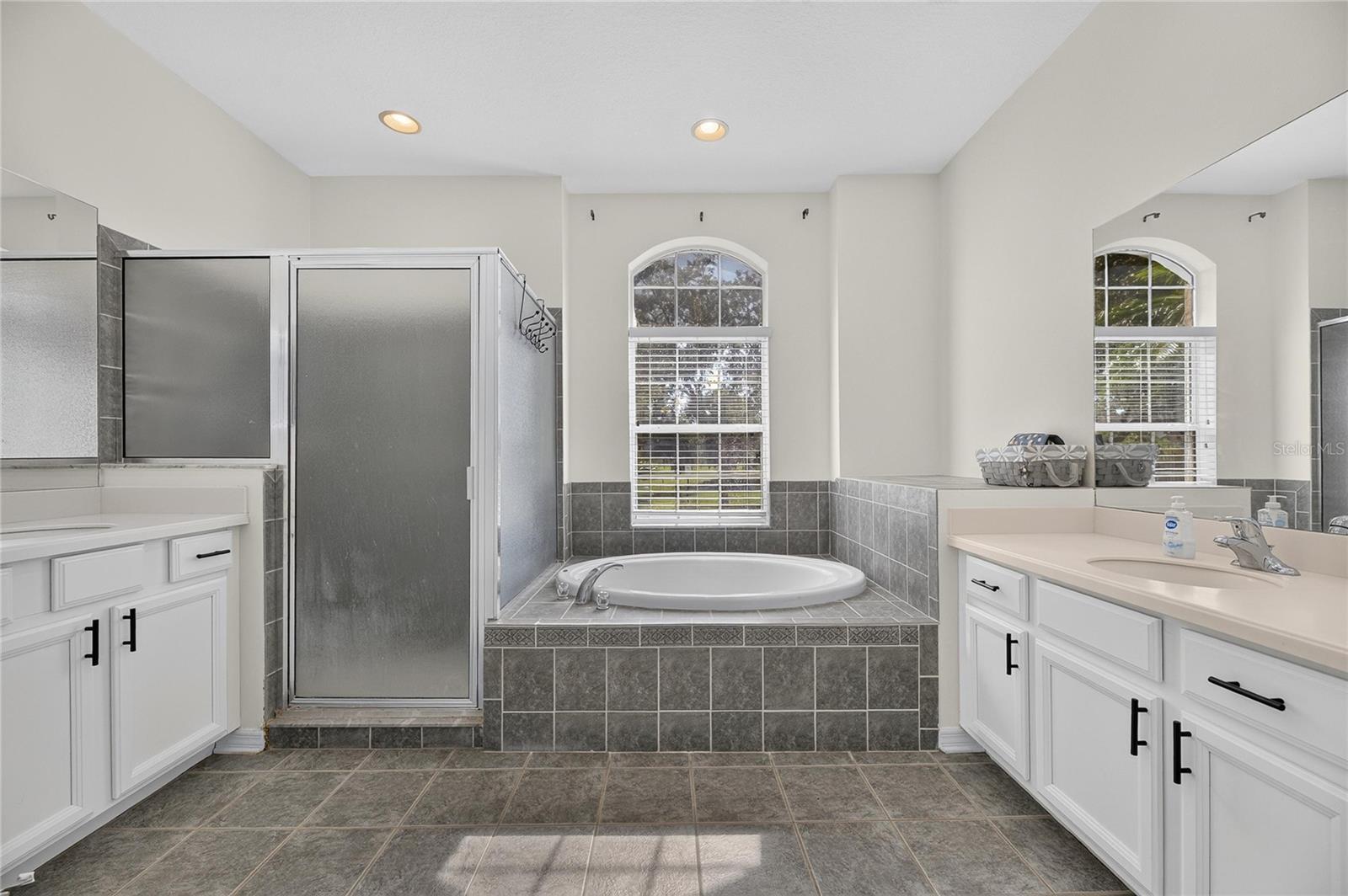 1438 EMERALD HILL WAY, Valrico, FL 33594