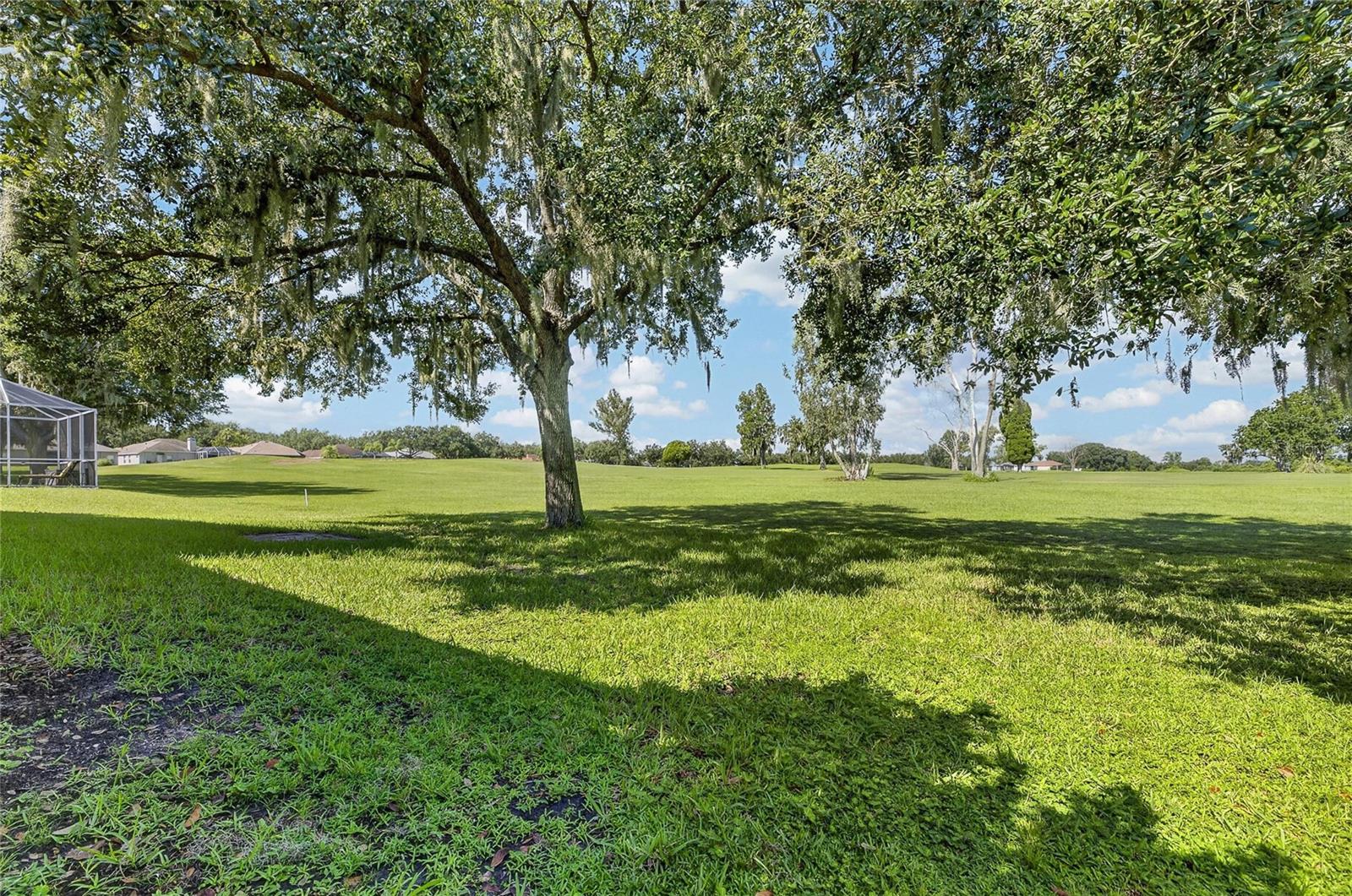 1438 EMERALD HILL WAY, Valrico, FL 33594