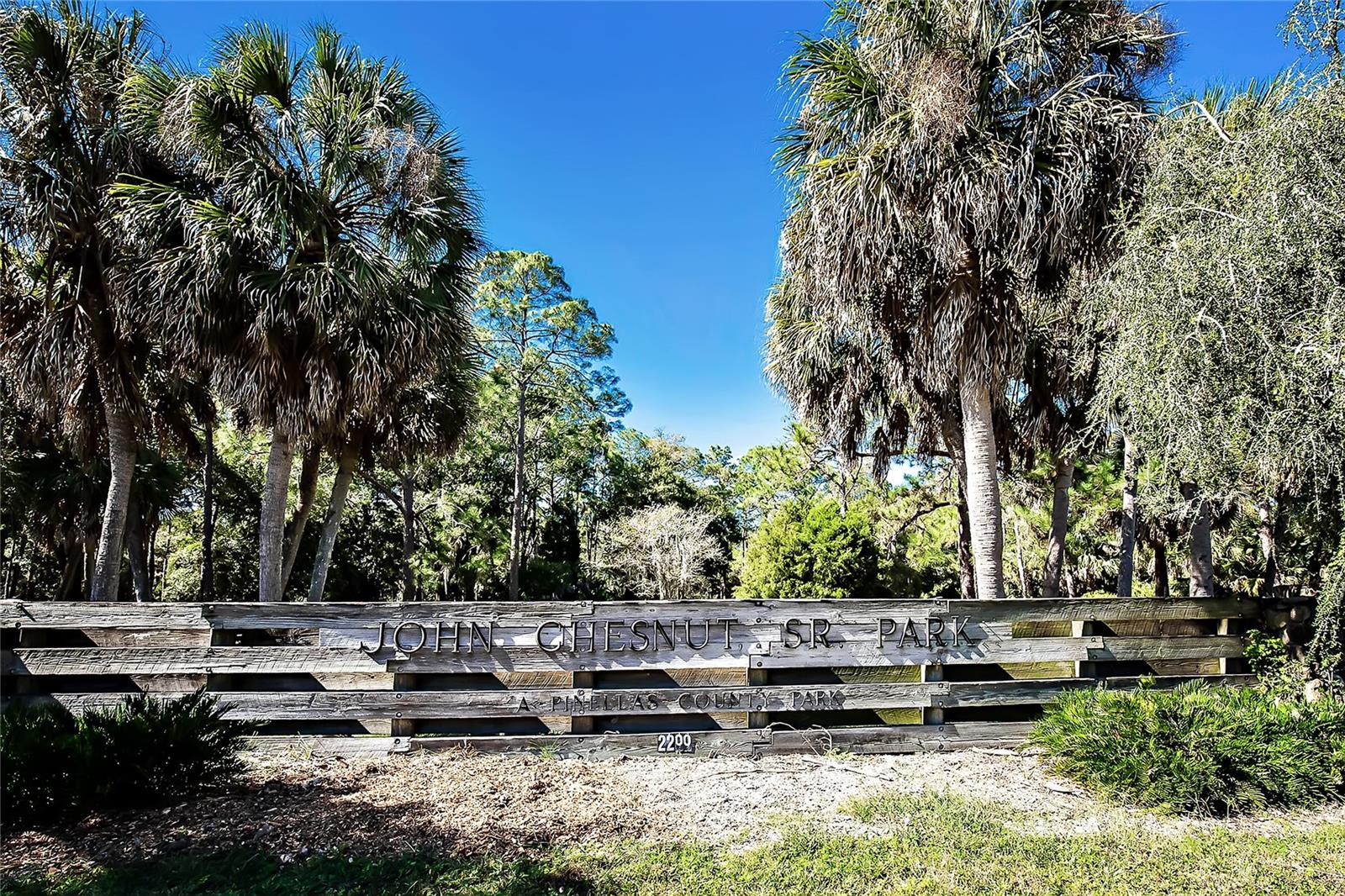 1801 E LAKE ROAD, #19D, Palm Harbor, FL 34685