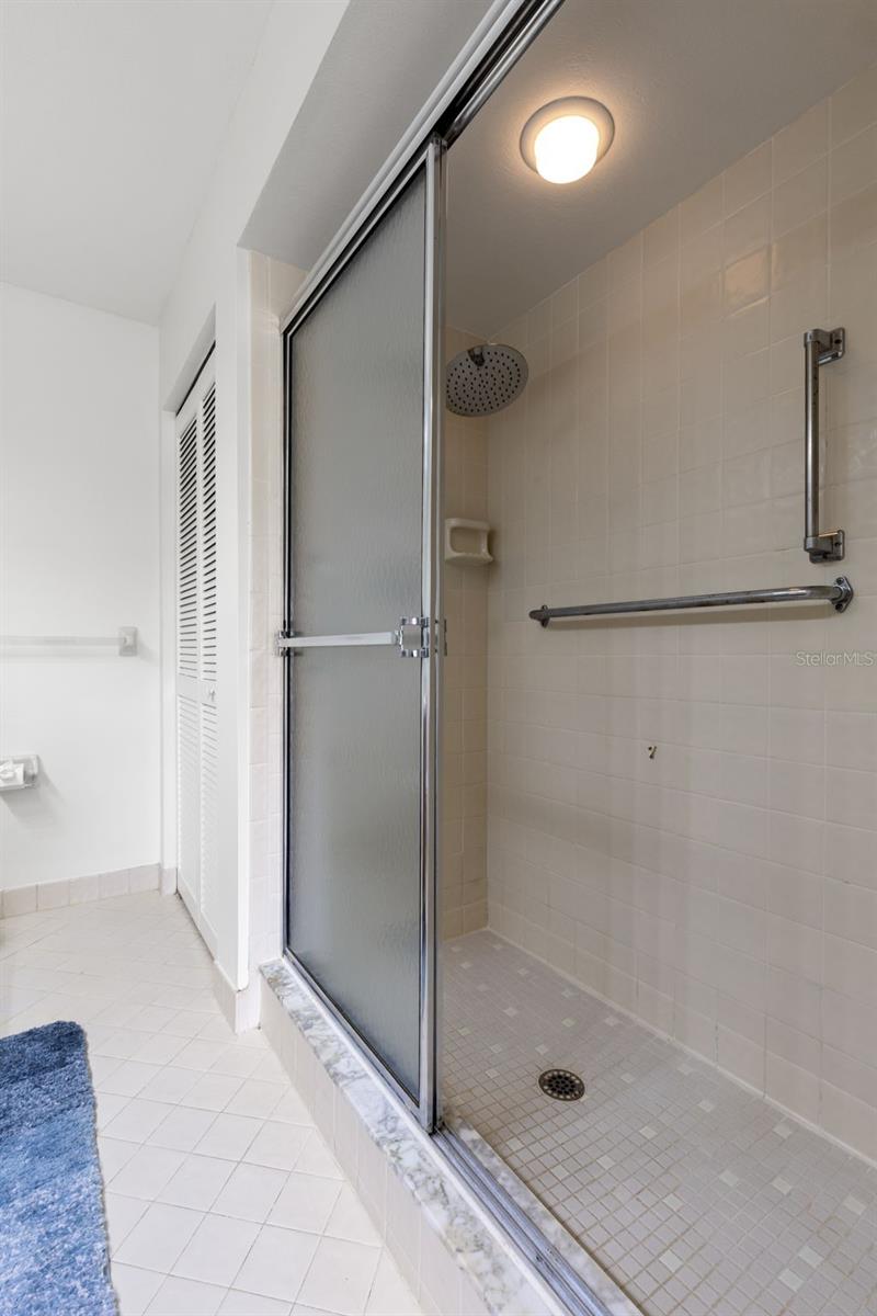 Primary ensuite step-in shower