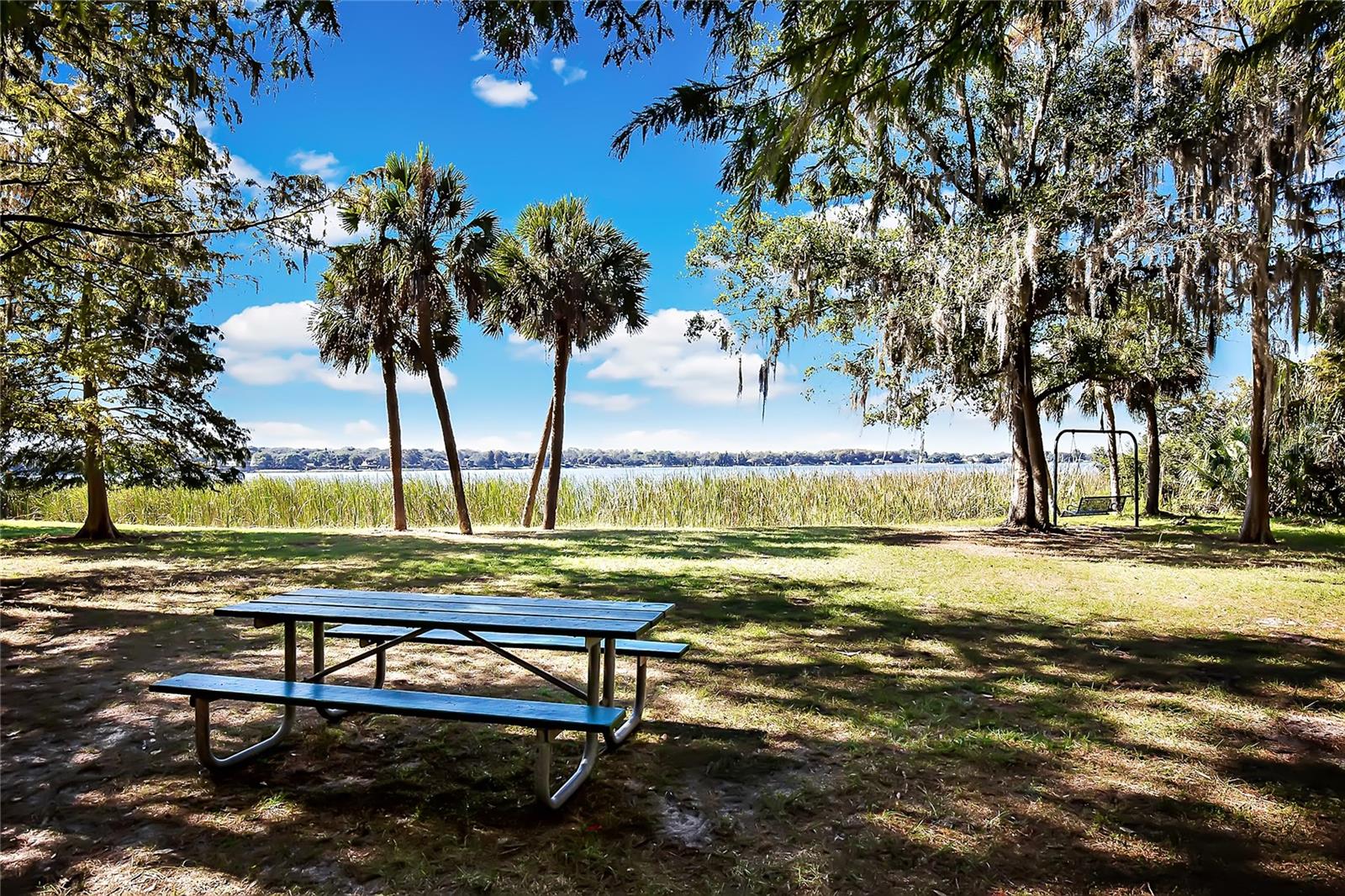 1801 E LAKE ROAD, #19D, Palm Harbor, FL 34685