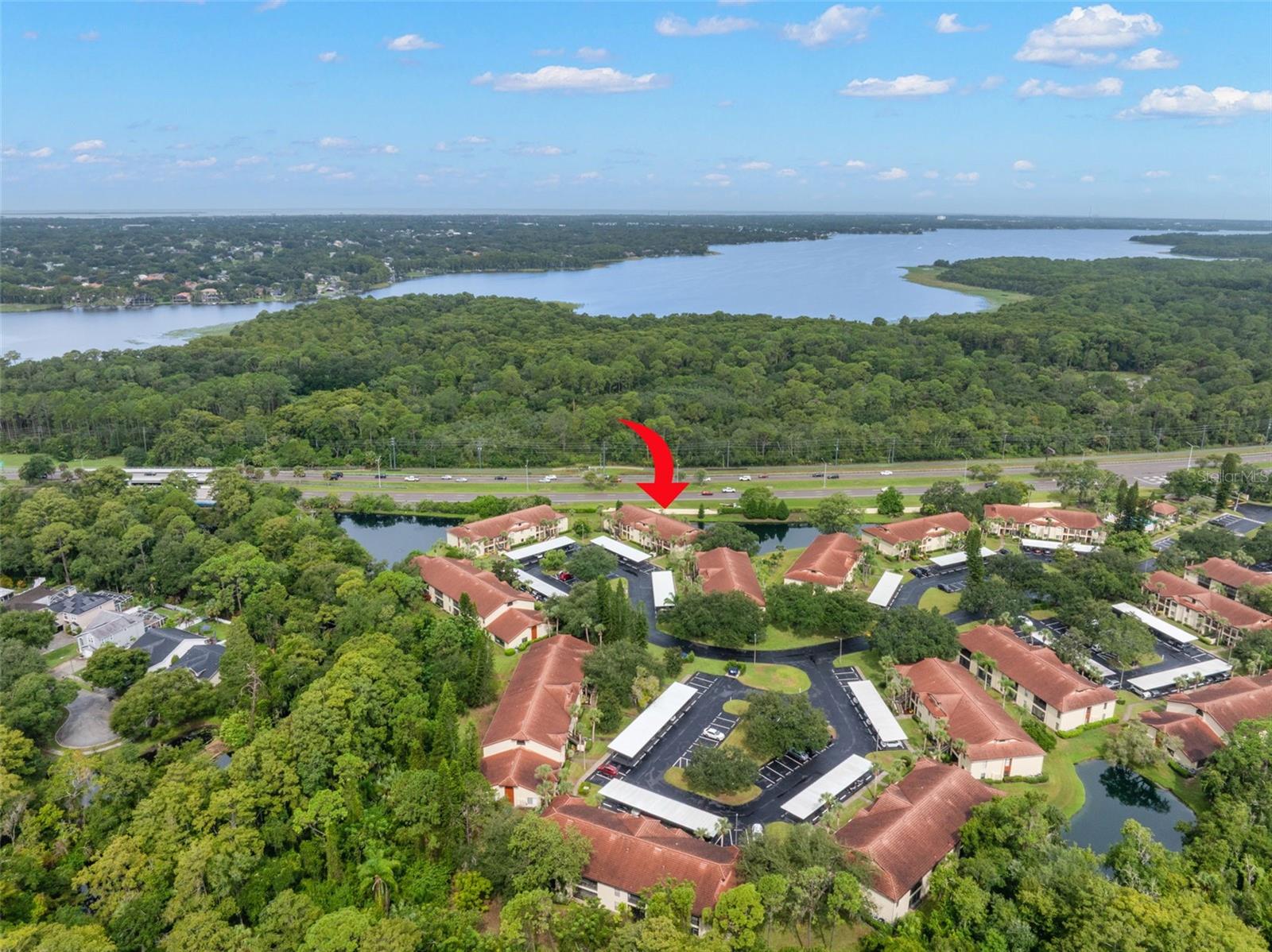 1801 E LAKE ROAD, #19D, Palm Harbor, FL 34685