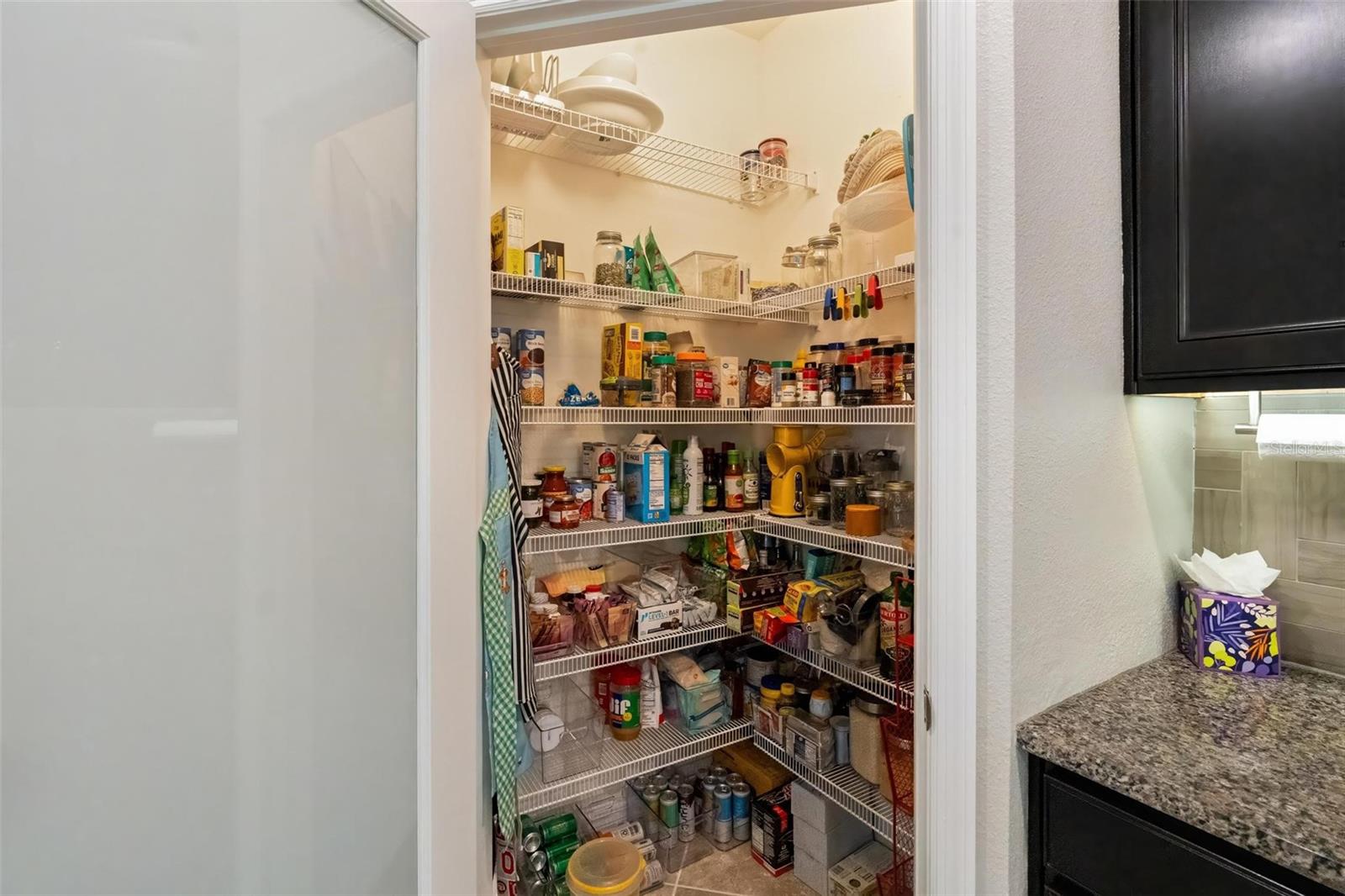 10321 RIVERDALE RISE DRIVE, Riverview, FL 33578