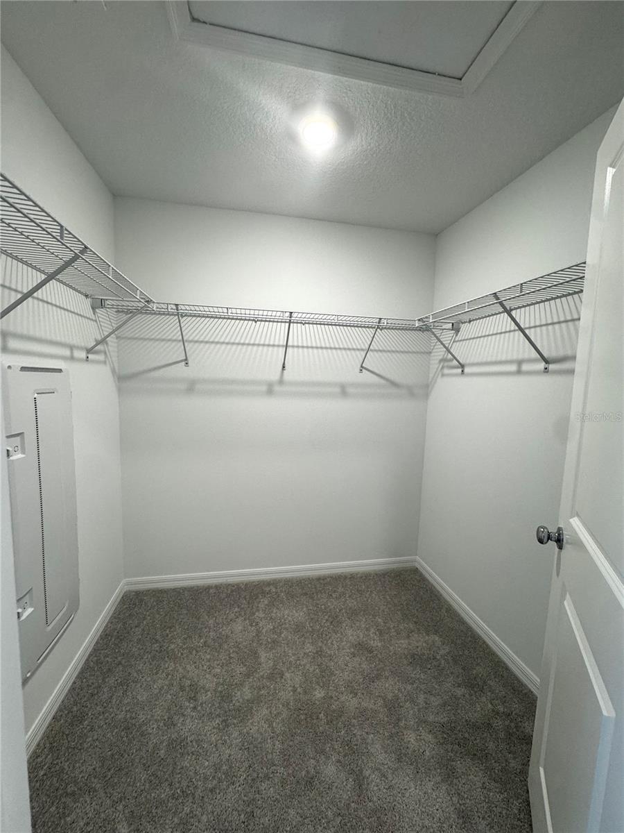 10149 TRUMPET HONEYSUCKLE WAY, San Antonio, FL 33576