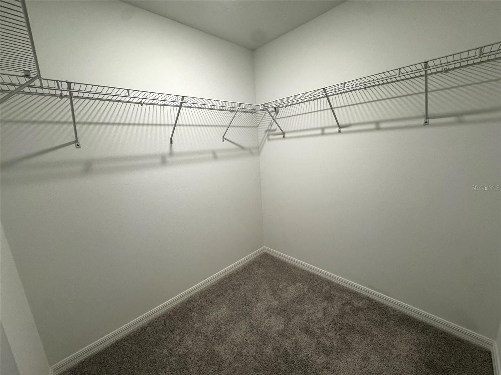 10149 TRUMPET HONEYSUCKLE WAY, San Antonio, FL 33576