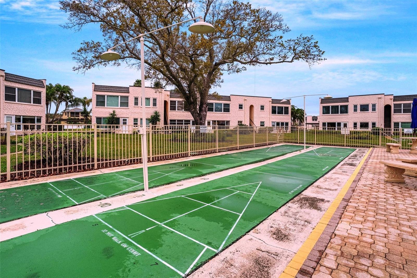 Shuffleboard Court