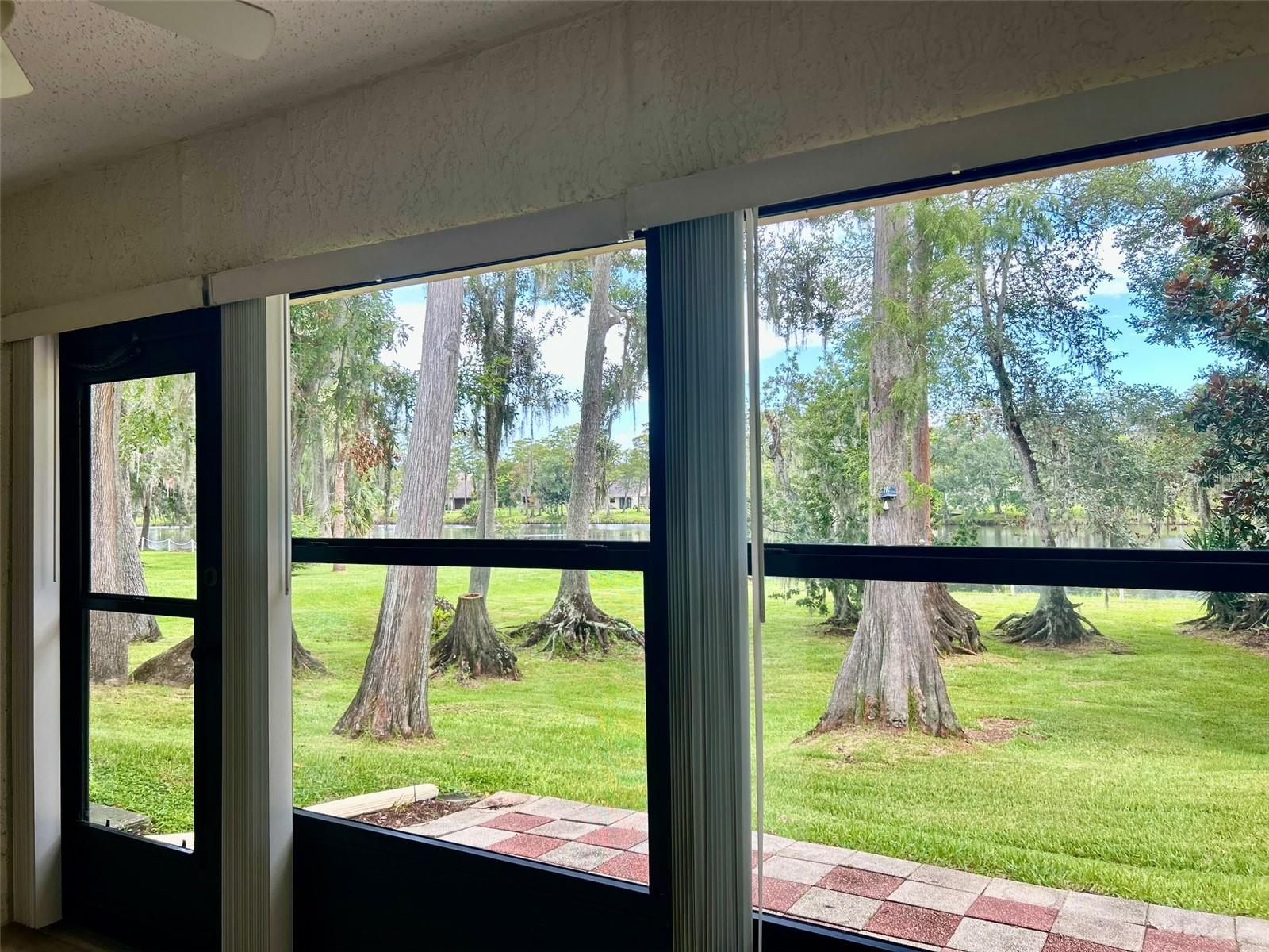 Enclosed Porch With Lake Views