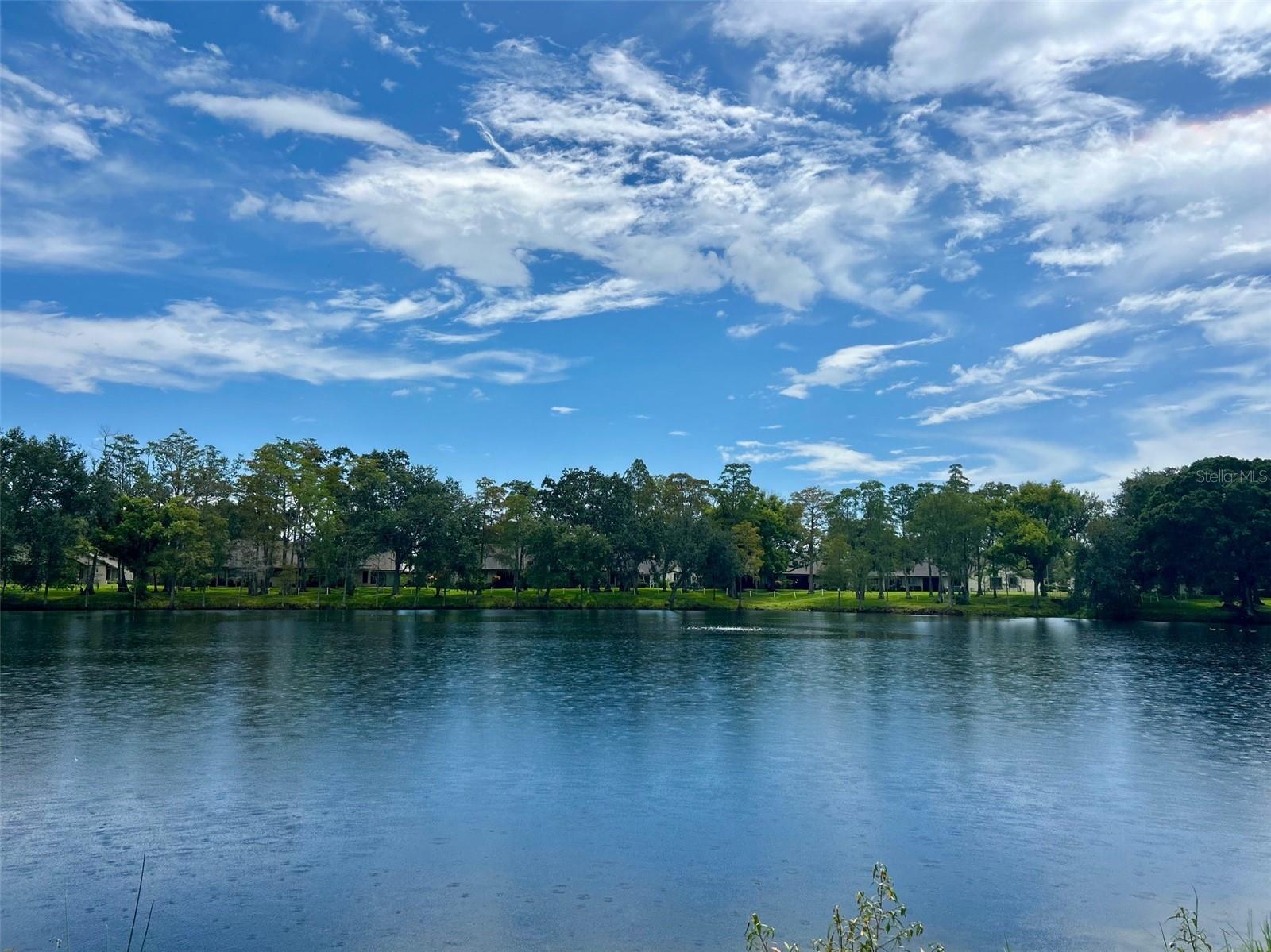 Lake View In Backyard