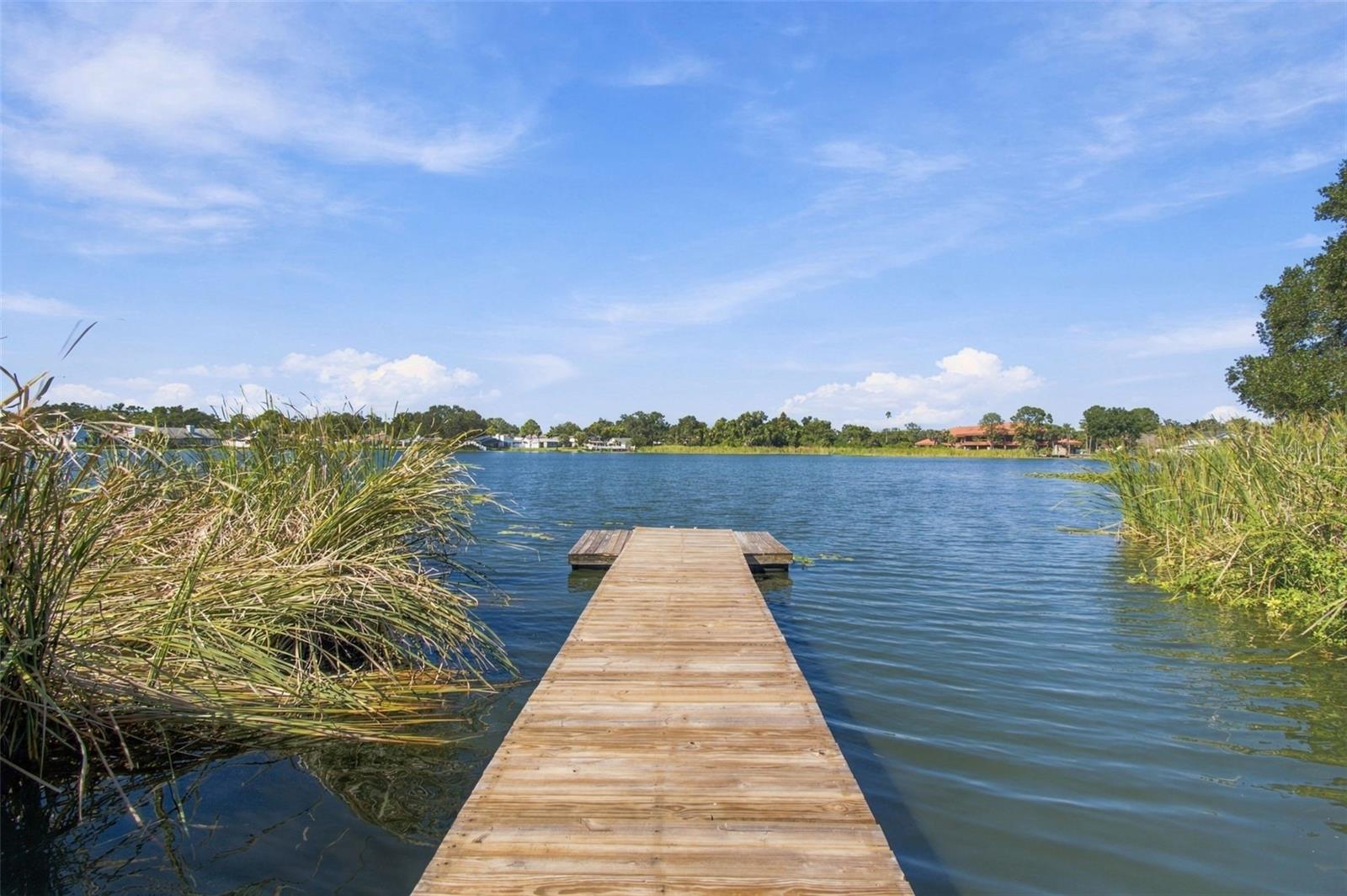 3021 W SITKA STREET, Tampa, FL 33614