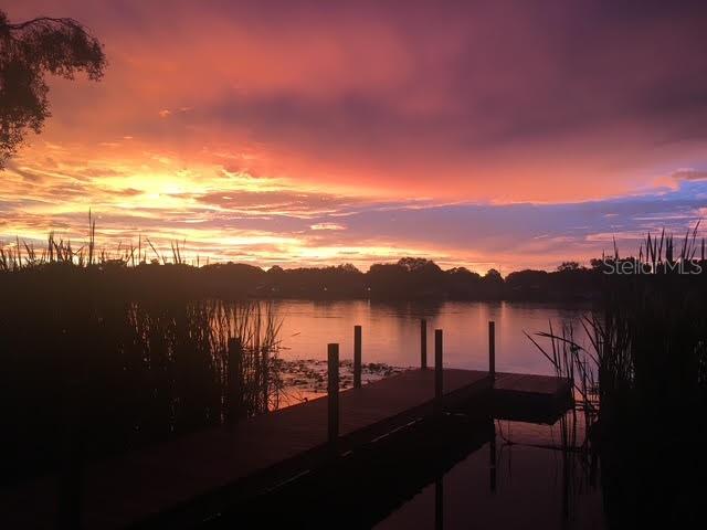 3021 W SITKA STREET, Tampa, FL 33614