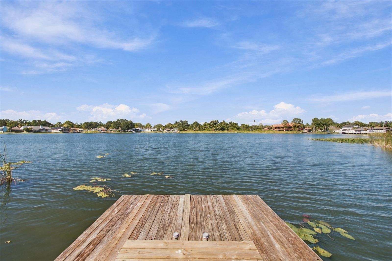 3021 W SITKA STREET, Tampa, FL 33614