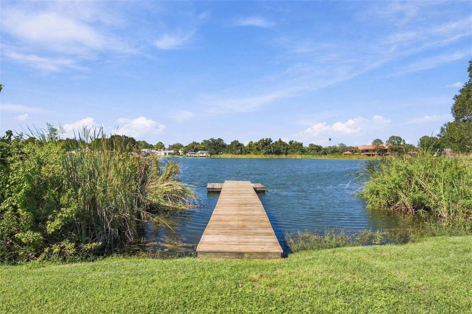 3021 W SITKA STREET, Tampa, FL 33614
