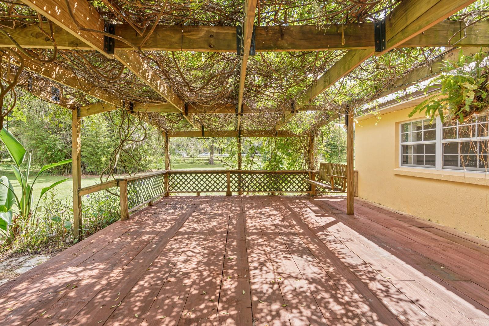 Patio with flowering vines
