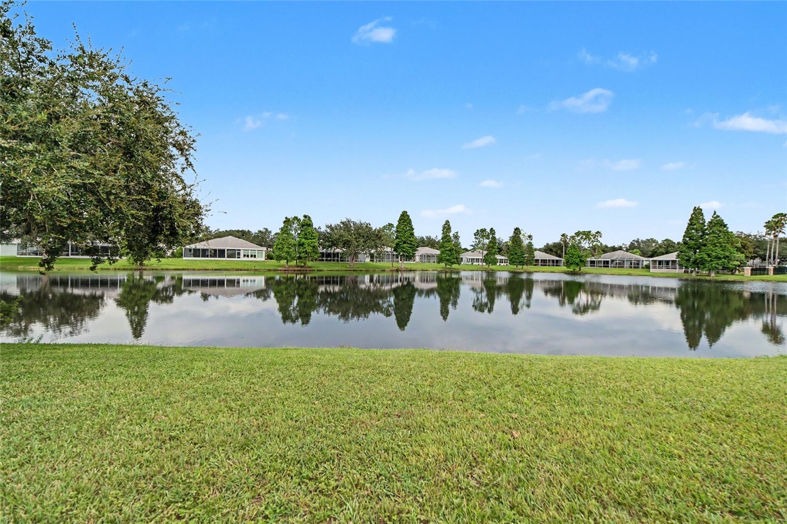 15110 HERONGLEN DRIVE, Lithia, FL 33547
