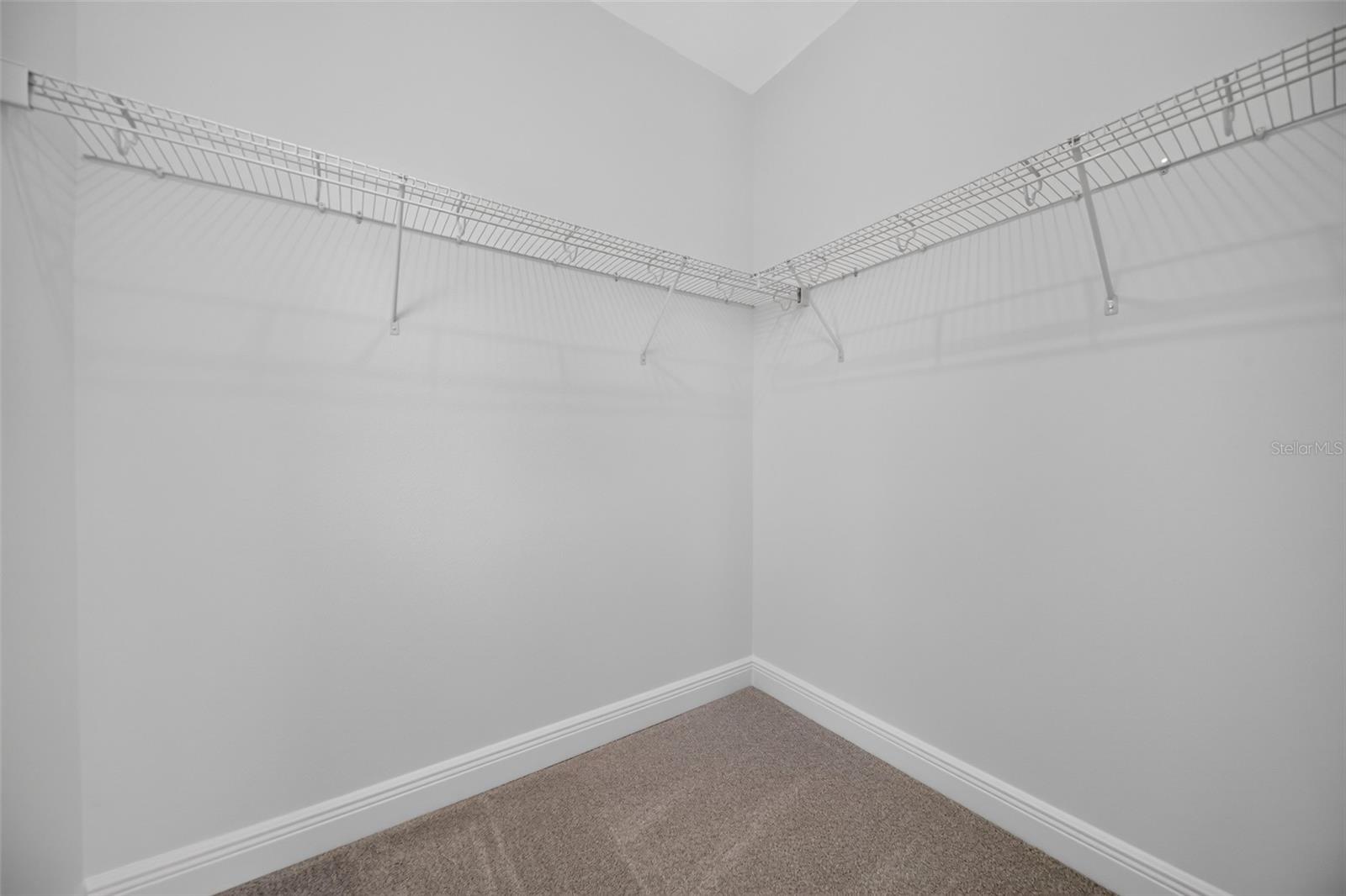 13325 LUSH LIME ALLEY, Windermere, FL 34786