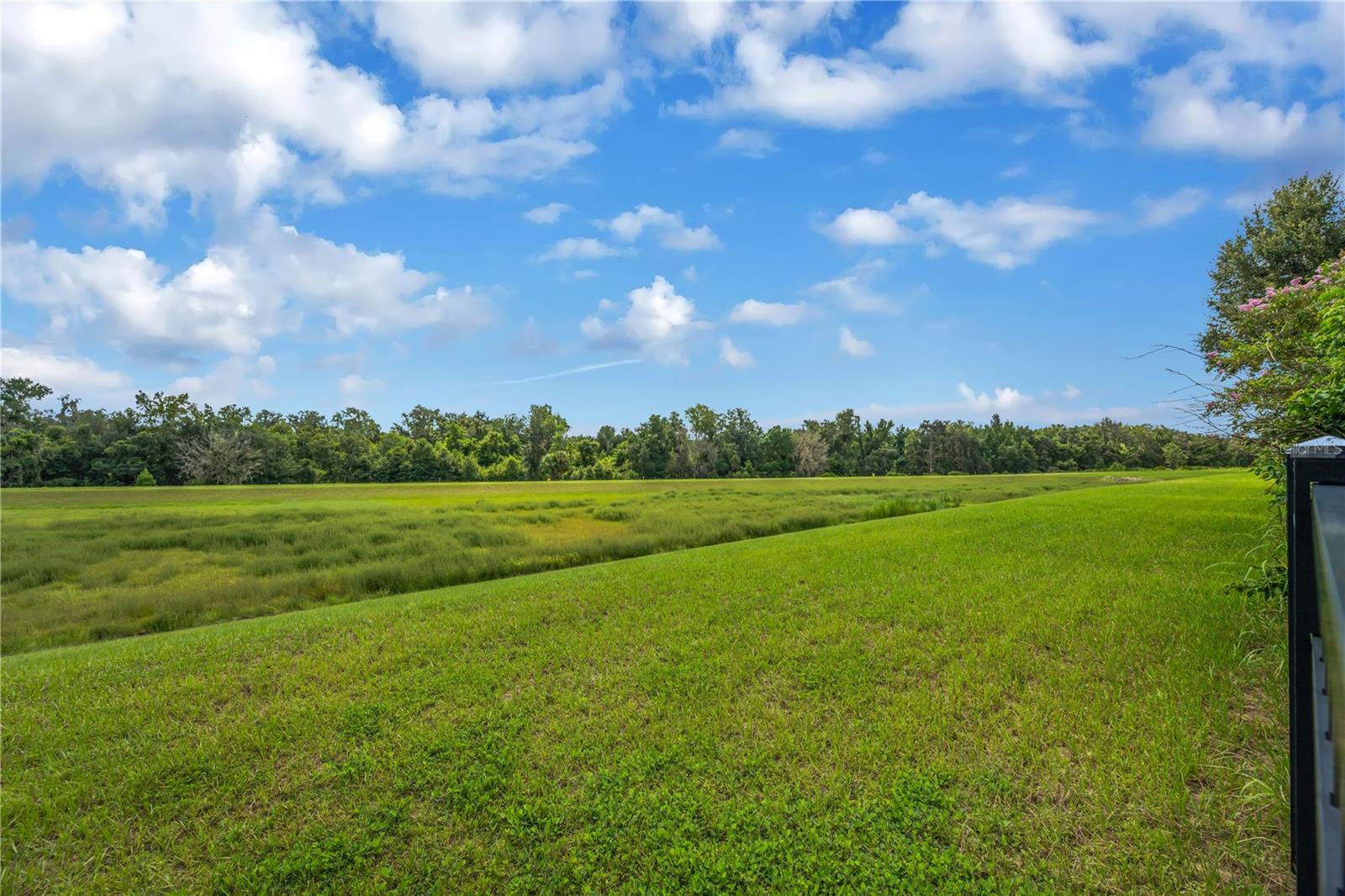 5830 WATERCOLOR DRIVE, Lithia, FL 33547