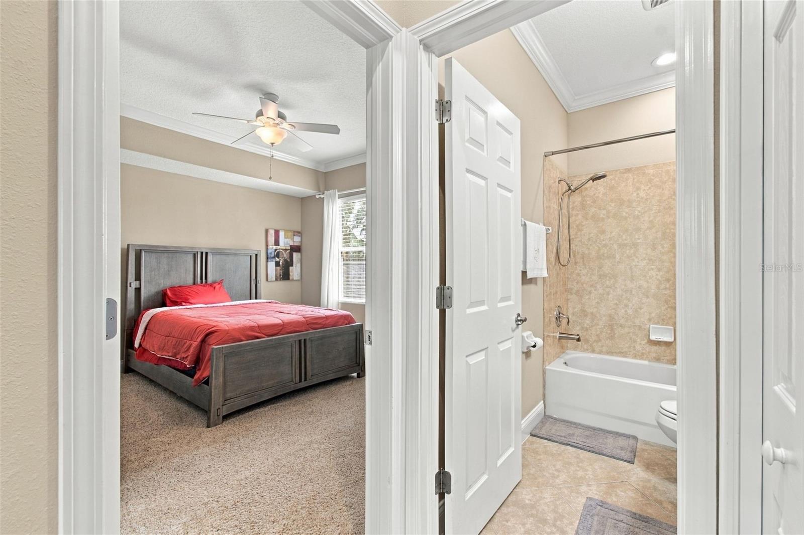 3339 DIAMOND FALLS CIRCLE, Land O Lakes, FL 34638