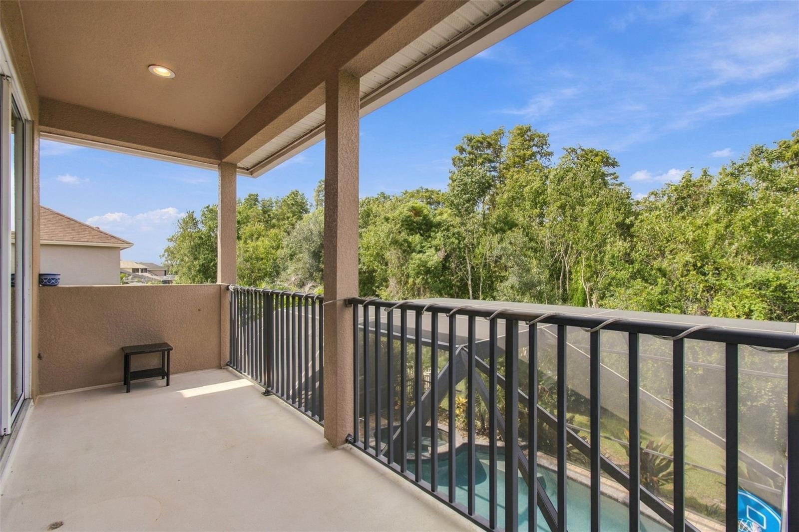 3339 DIAMOND FALLS CIRCLE, Land O Lakes, FL 34638