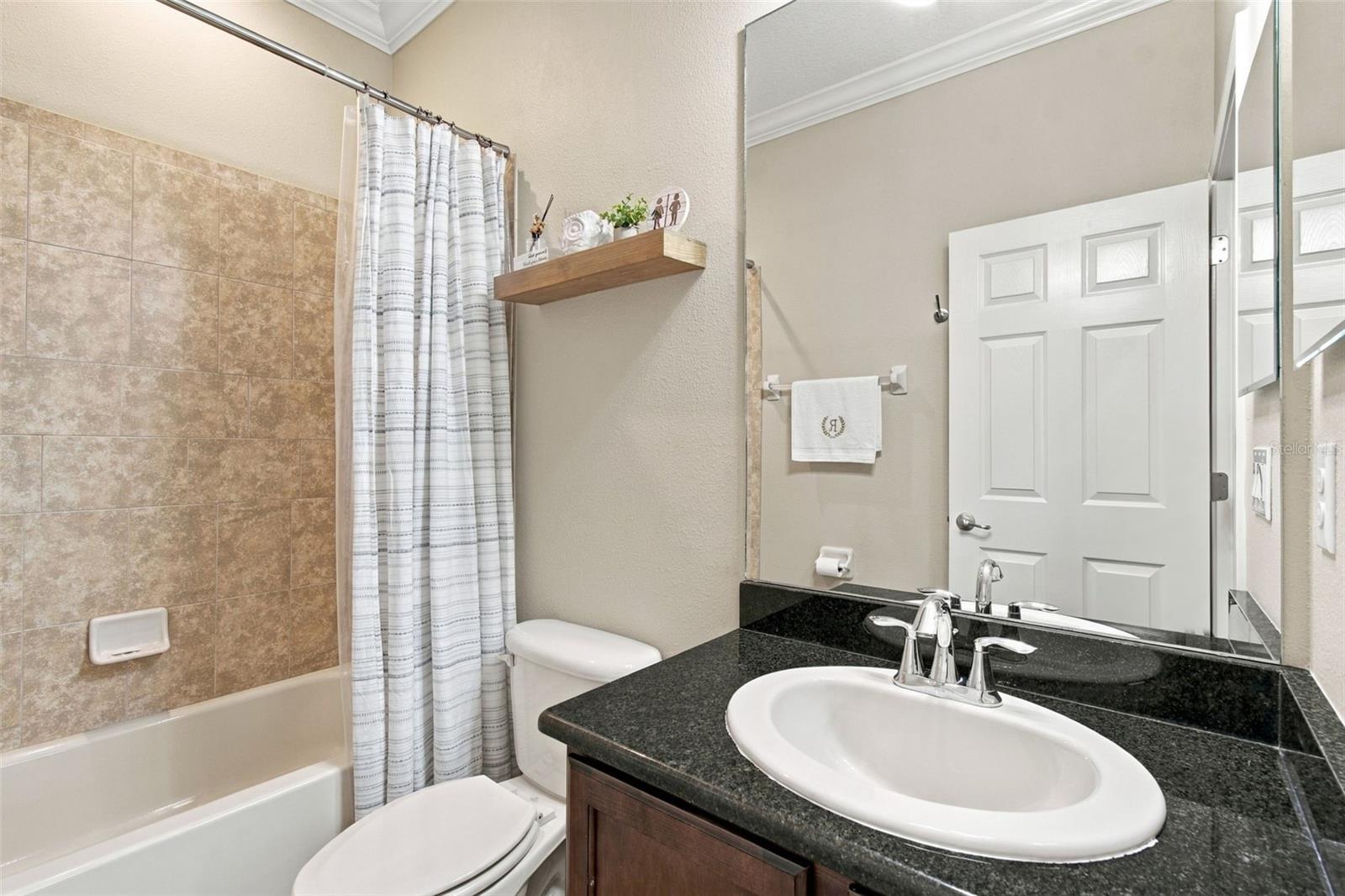 3339 DIAMOND FALLS CIRCLE, Land O Lakes, FL 34638