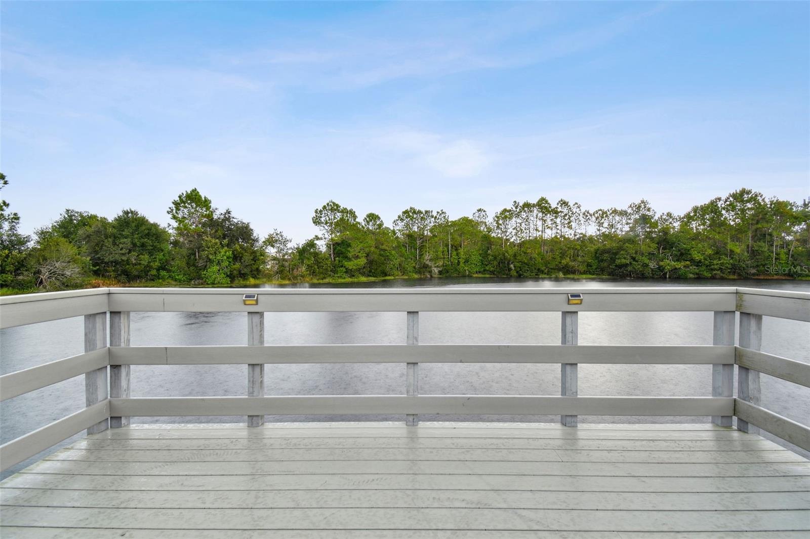 3339 DIAMOND FALLS CIRCLE, Land O Lakes, FL 34638