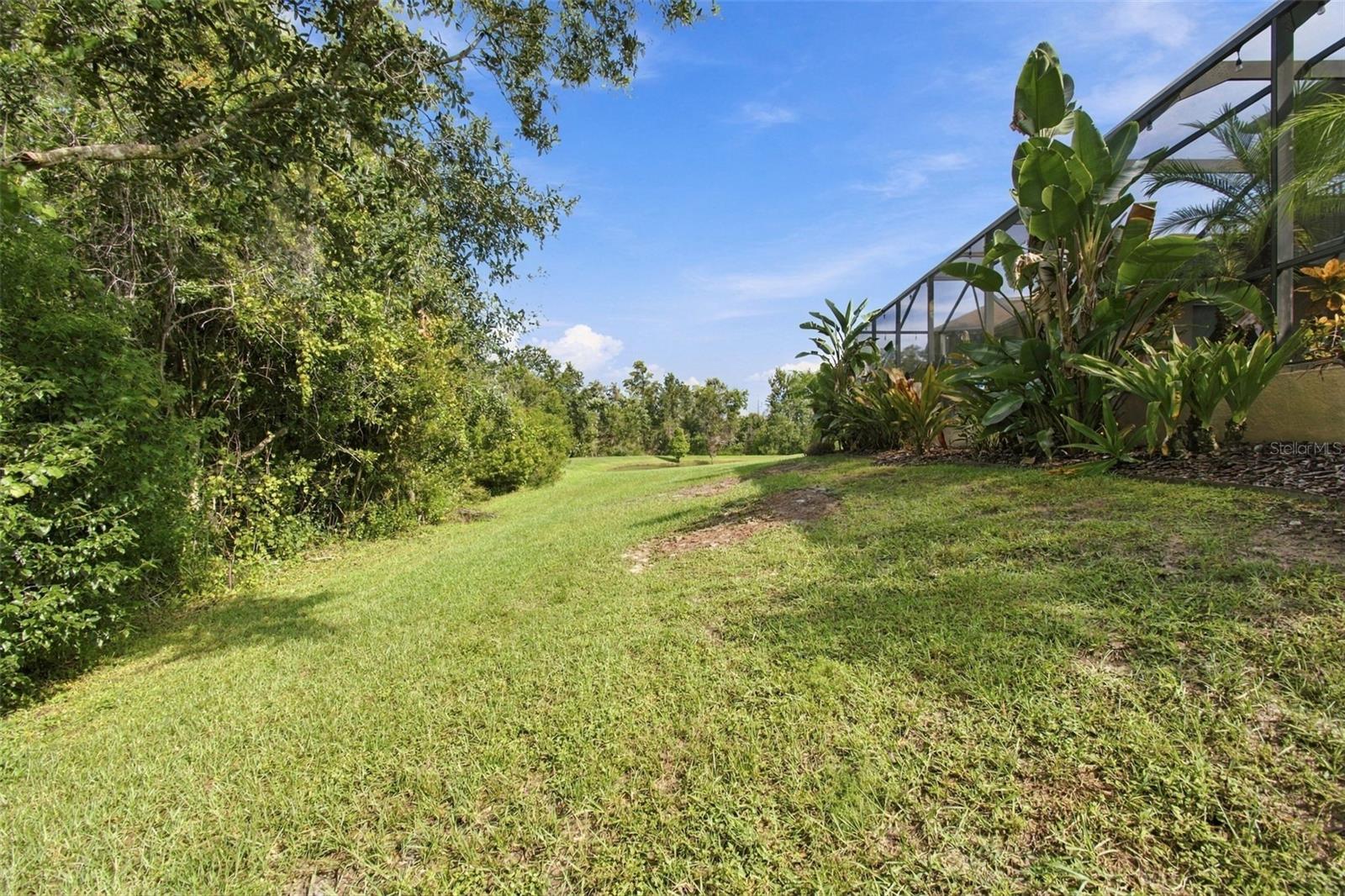 3339 DIAMOND FALLS CIRCLE, Land O Lakes, FL 34638