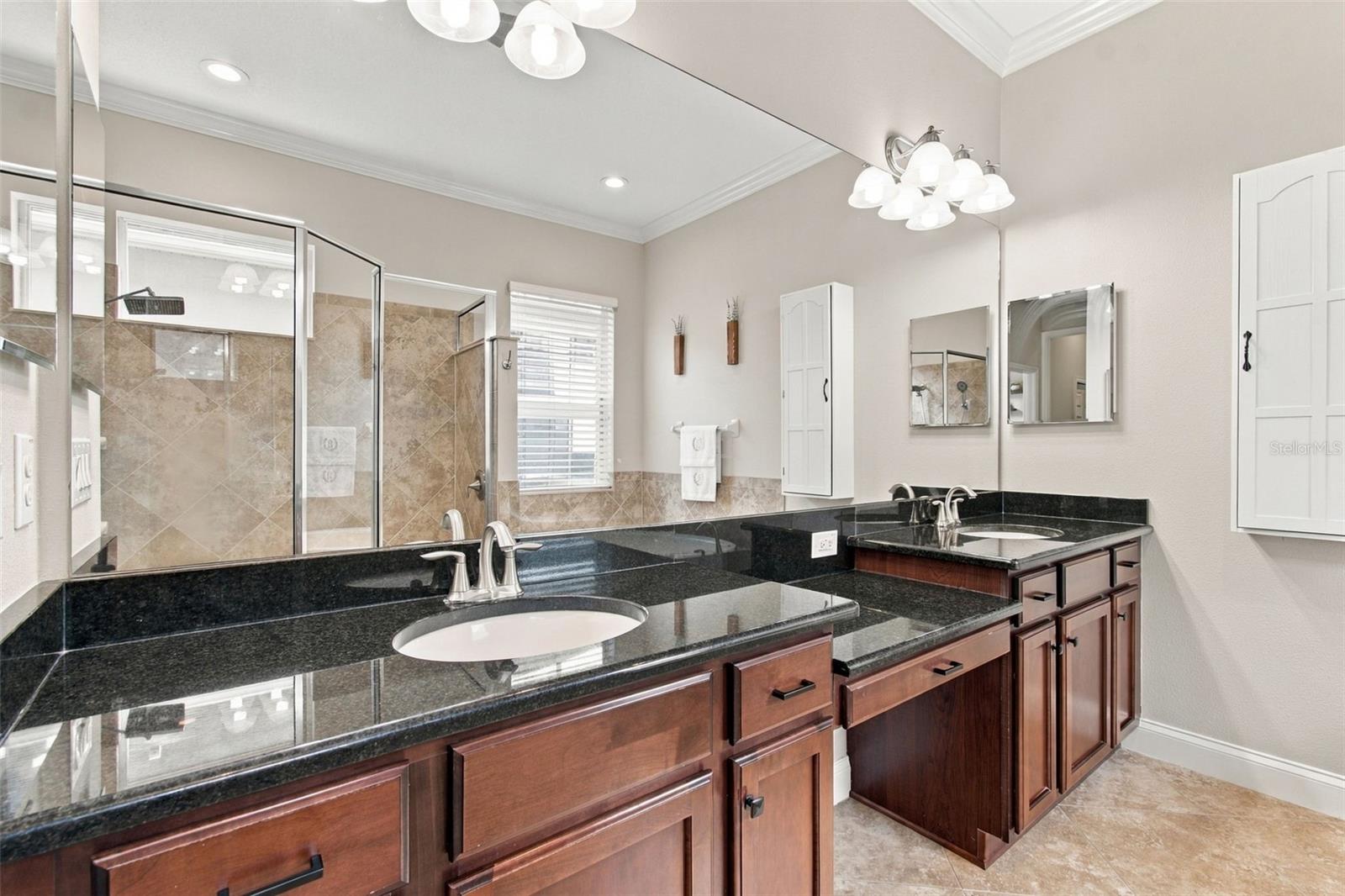 3339 DIAMOND FALLS CIRCLE, Land O Lakes, FL 34638