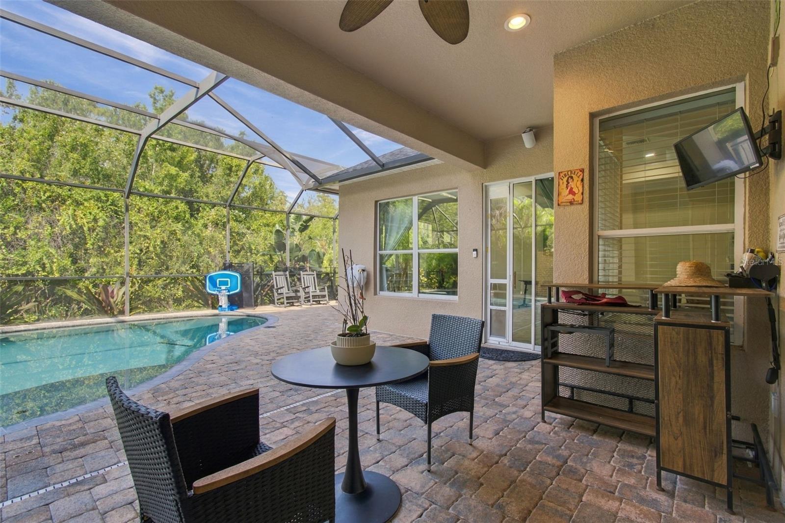 3339 DIAMOND FALLS CIRCLE, Land O Lakes, FL 34638