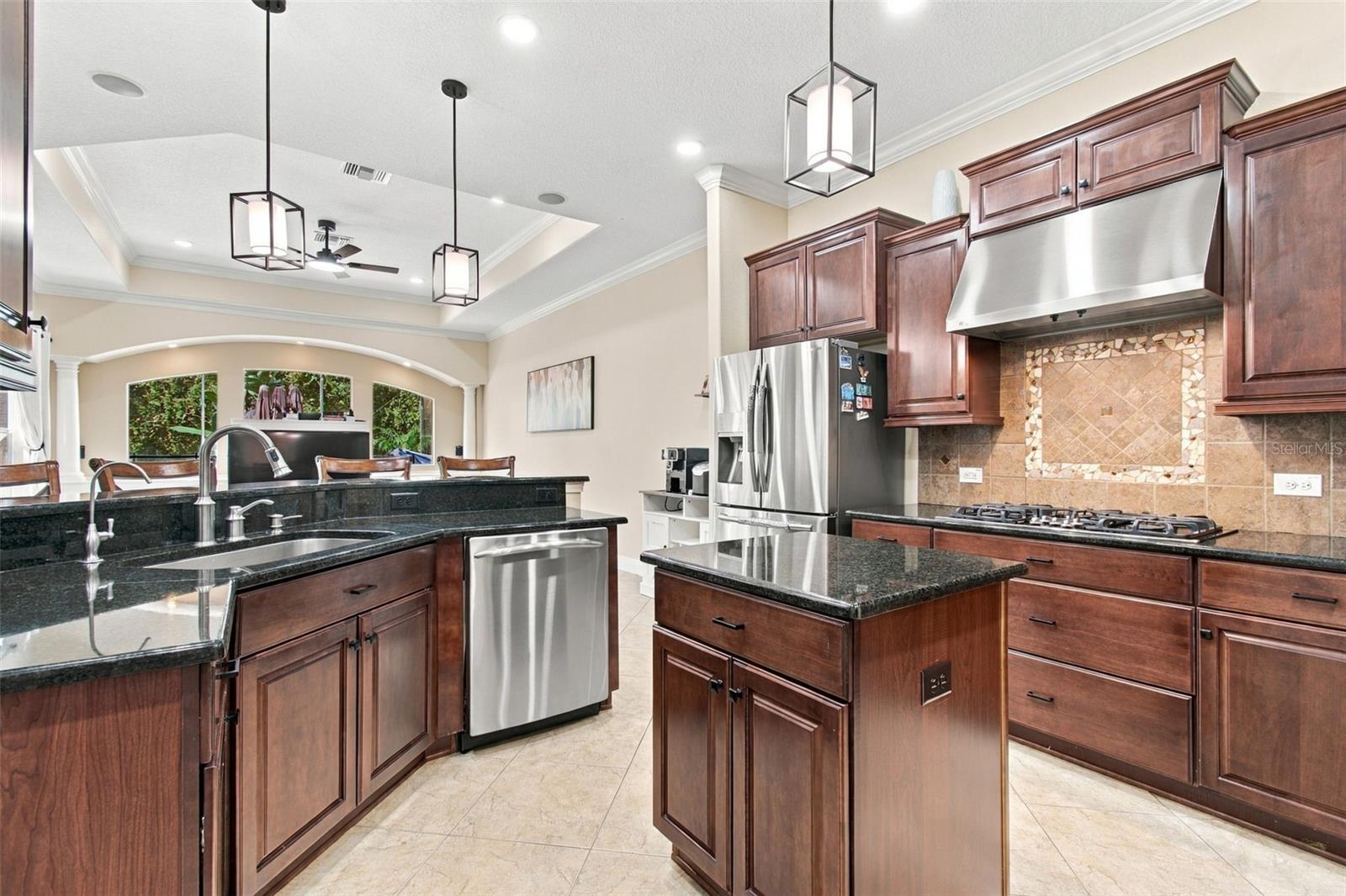 3339 DIAMOND FALLS CIRCLE, Land O Lakes, FL 34638