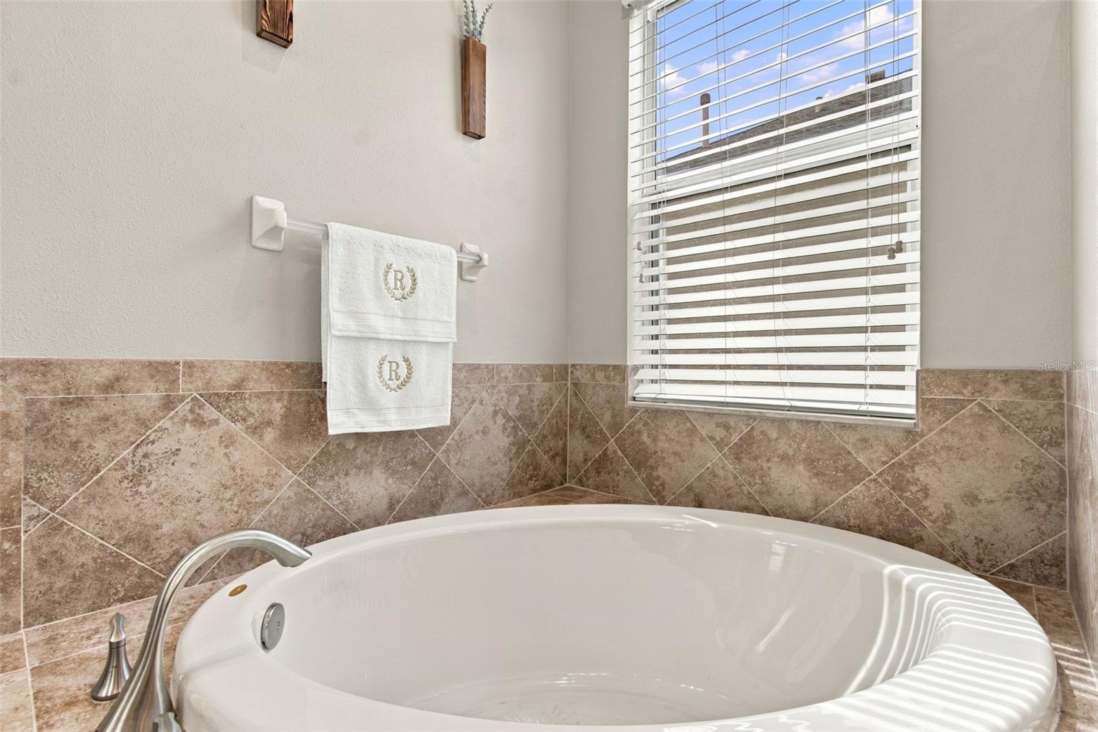 3339 DIAMOND FALLS CIRCLE, Land O Lakes, FL 34638