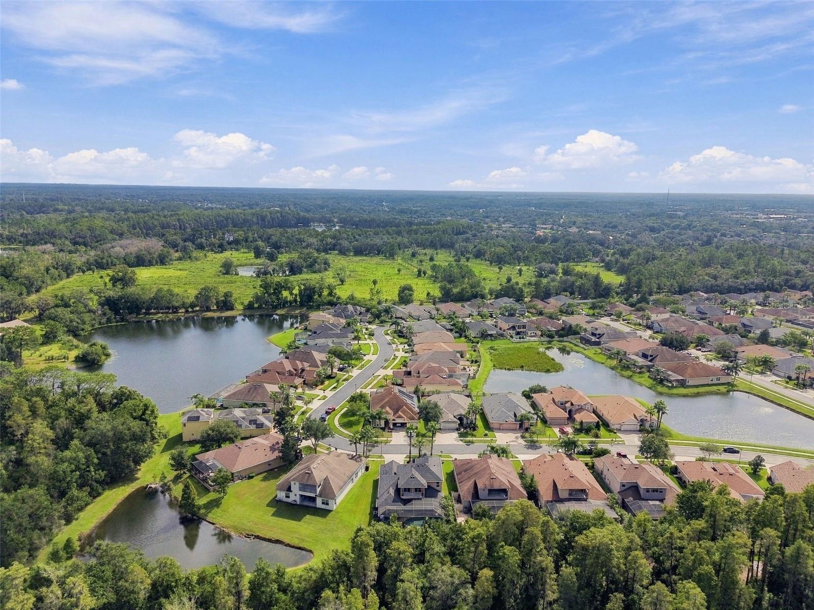 3339 DIAMOND FALLS CIRCLE, Land O Lakes, FL 34638