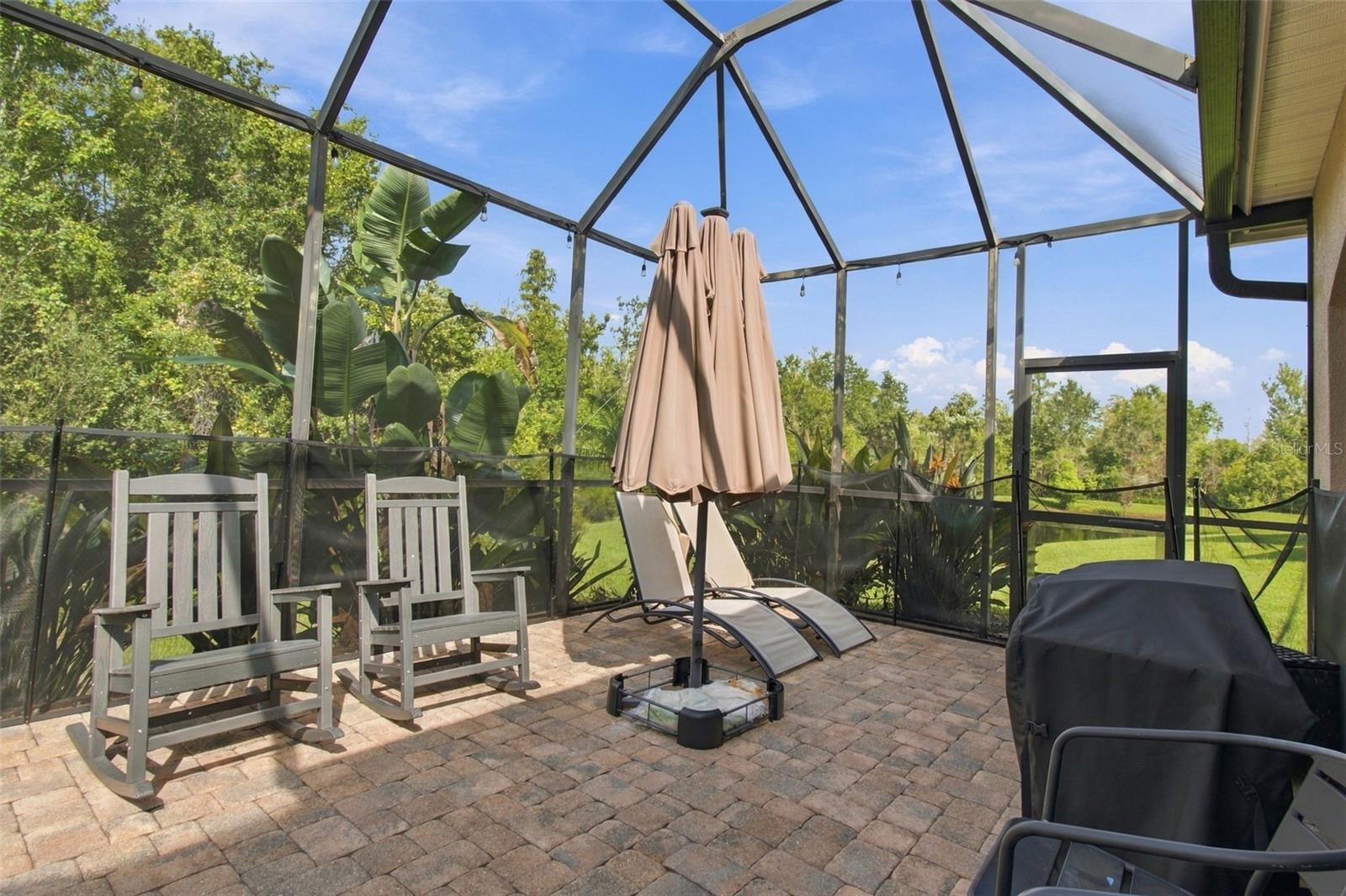 3339 DIAMOND FALLS CIRCLE, Land O Lakes, FL 34638