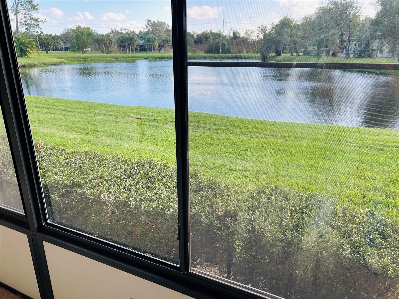 60 KAY COURT, Oldsmar, FL 34677 60 KAY COURT, Oldsmar, FL 34677