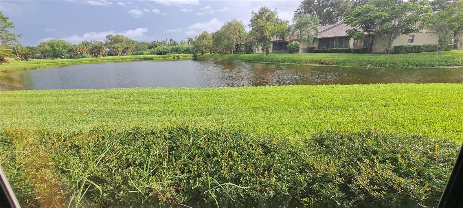 Pond View! Pond View!