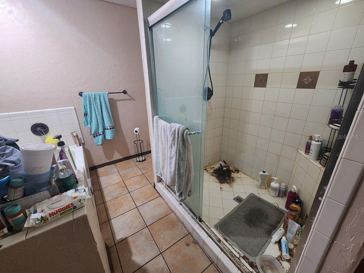 2407 SUMMER HOLLOW DRIVE, Auburndale, FL 33823