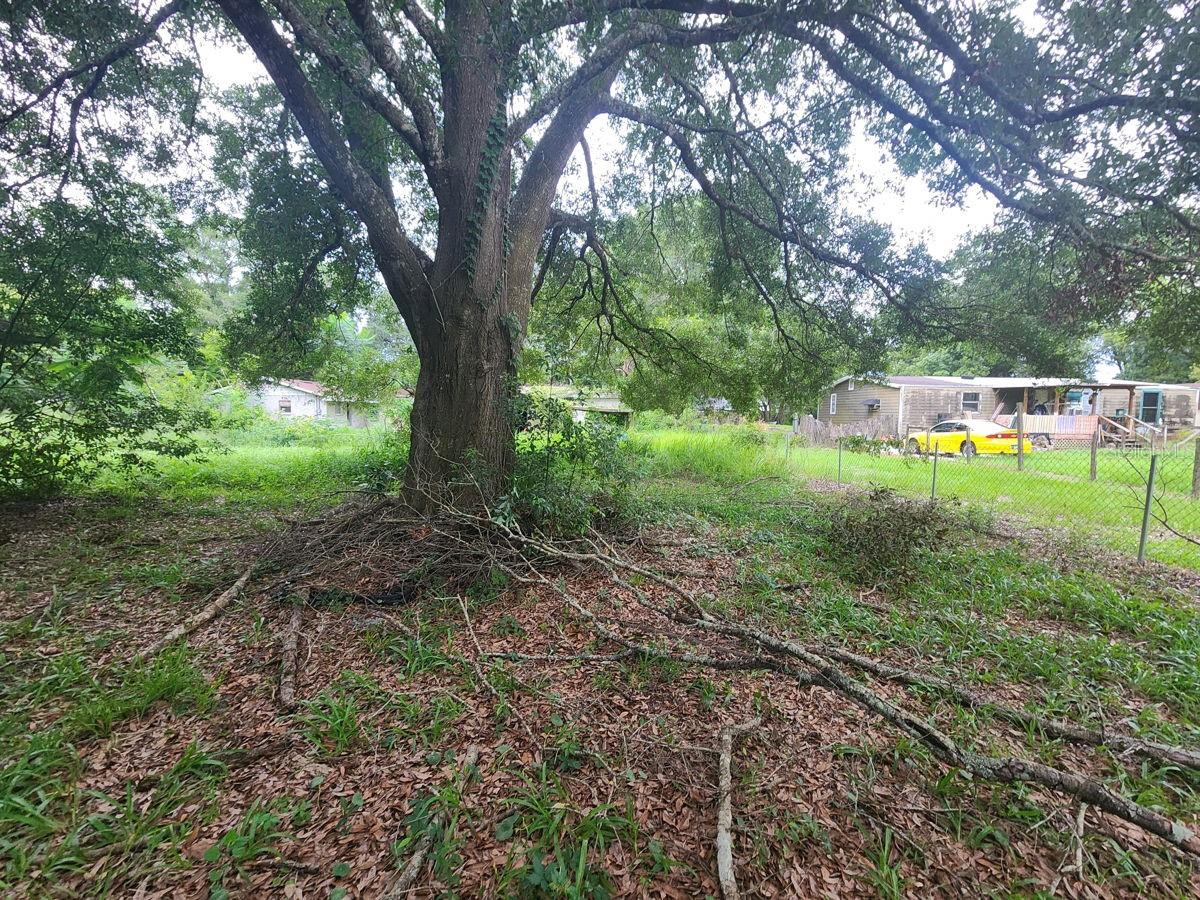 2407 SUMMER HOLLOW DRIVE, Auburndale, FL 33823