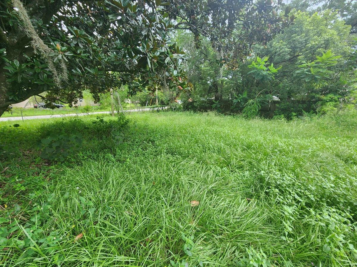 2407 SUMMER HOLLOW DRIVE, Auburndale, FL 33823