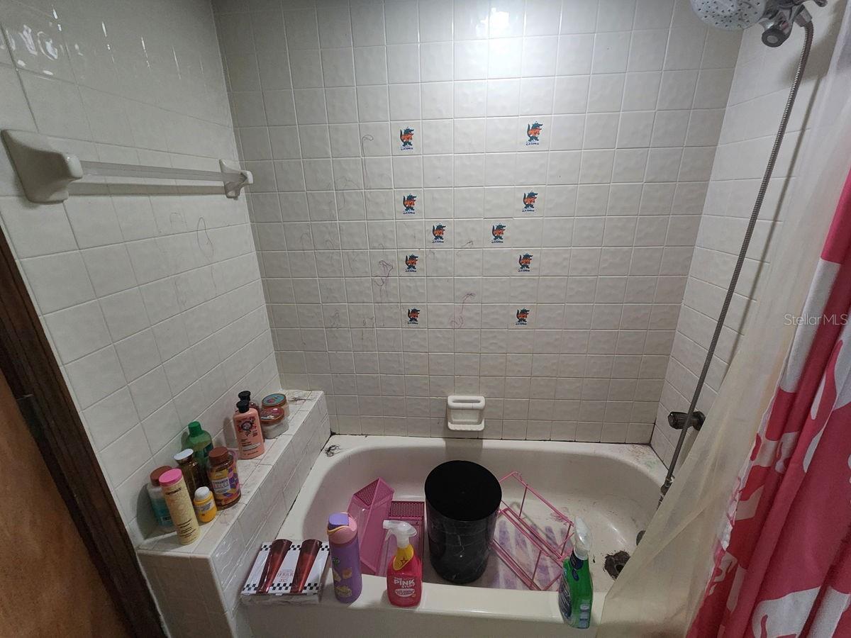 2407 SUMMER HOLLOW DRIVE, Auburndale, FL 33823