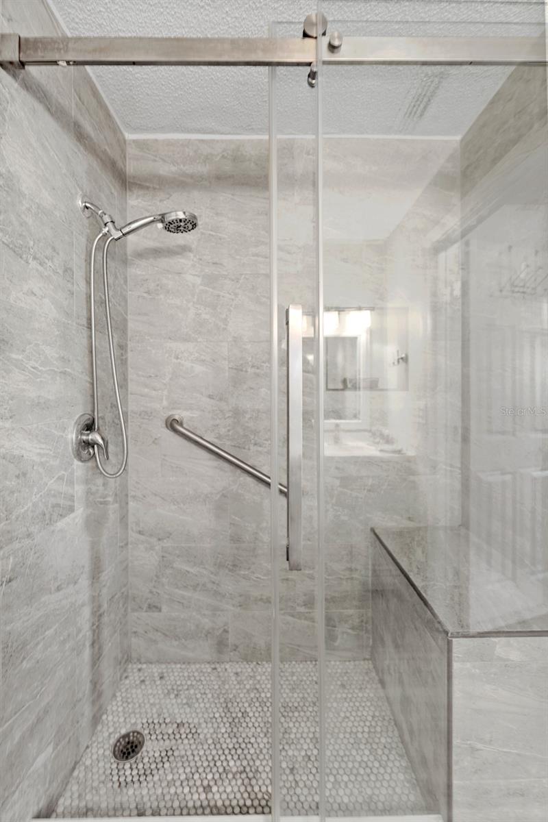 The guest/hall bath shower