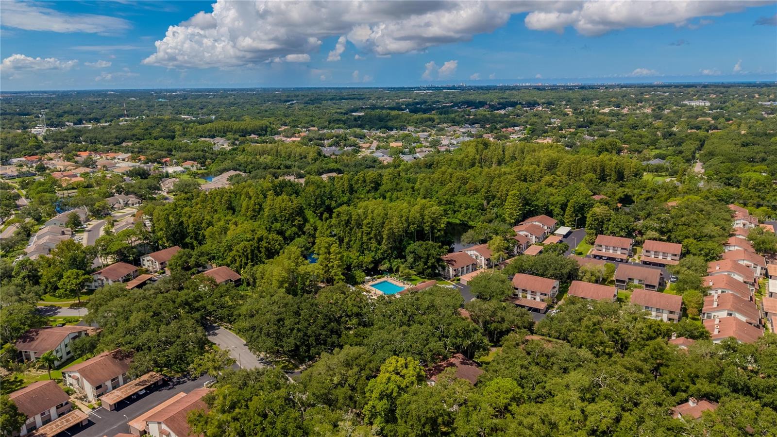 612 BALDWIN AVENUE, #C, Safety Harbor, FL 34695
