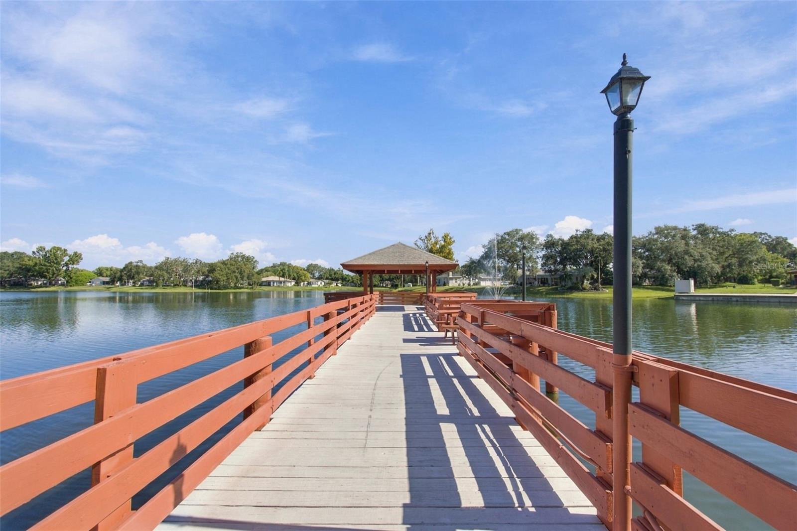 11541 SAN REMO COURT, Port Richey, FL 34668