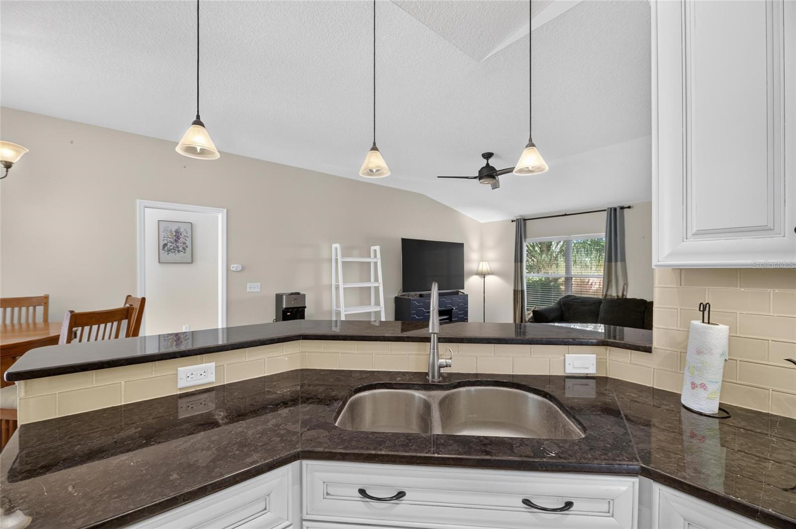 22240 WILLOW LAKES DRIVE, Lutz, FL 33549