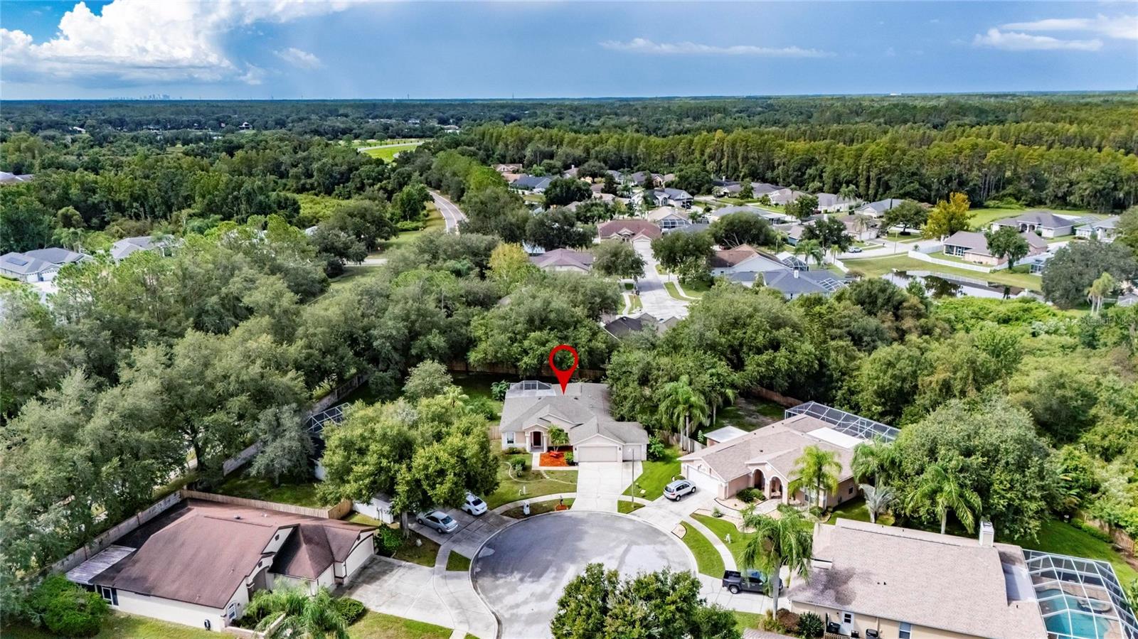 22240 WILLOW LAKES DRIVE, Lutz, FL 33549