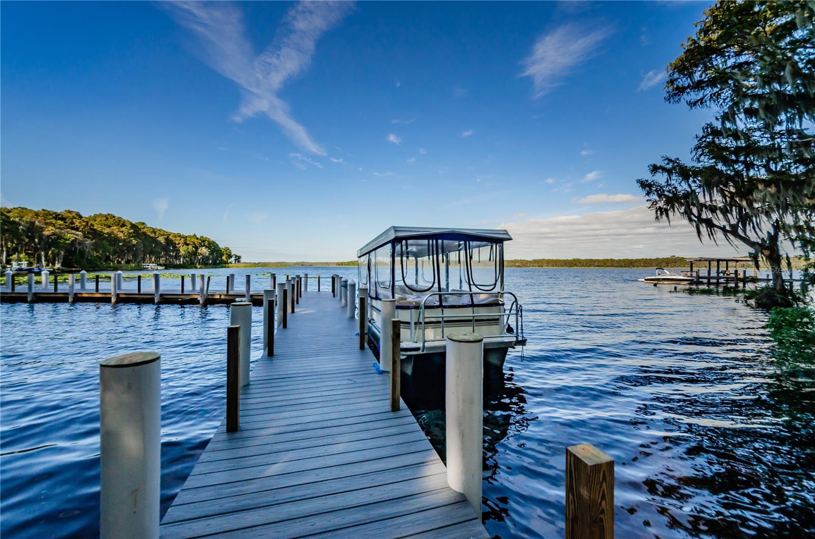 Pontoon boat rides for the day with a stop at The Tarpon Turtle for lunch~