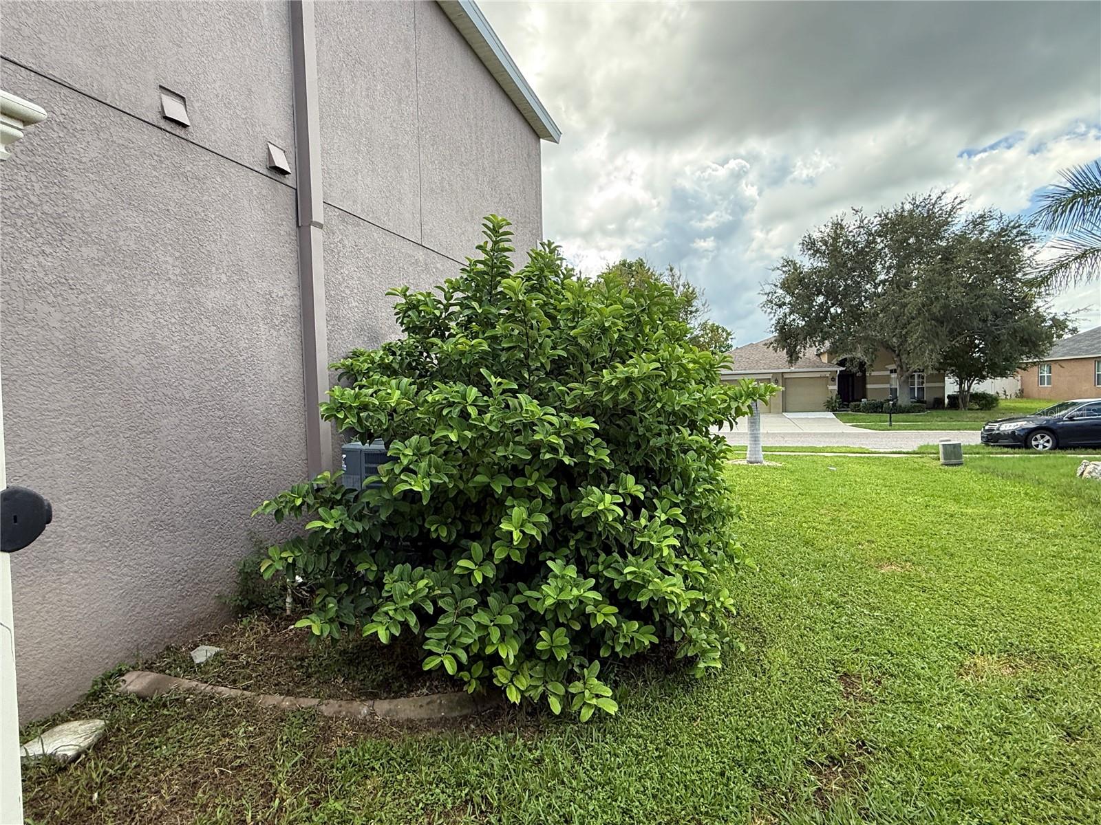2325 SWORDFISH AVENUE, Holiday, FL 34691