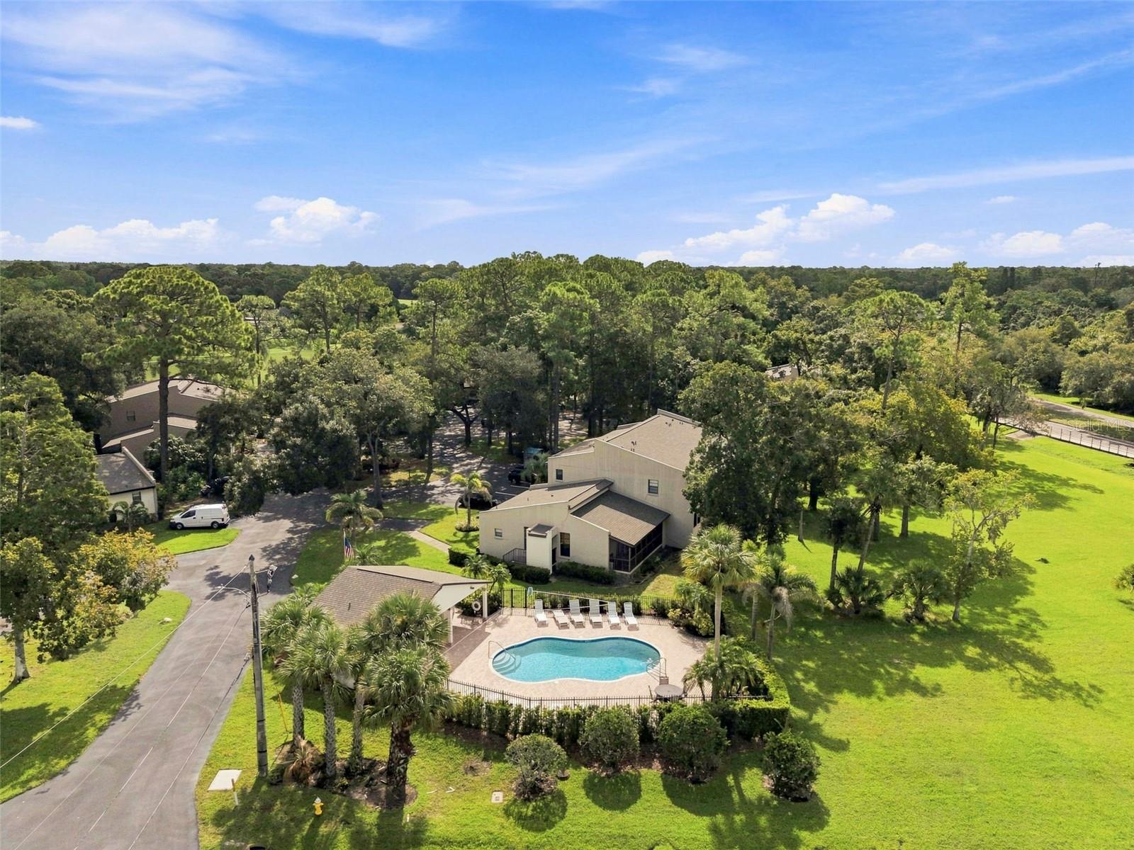 1000 TARPON WOODS BOULEVARD, #302, Palm Harbor, FL 34685