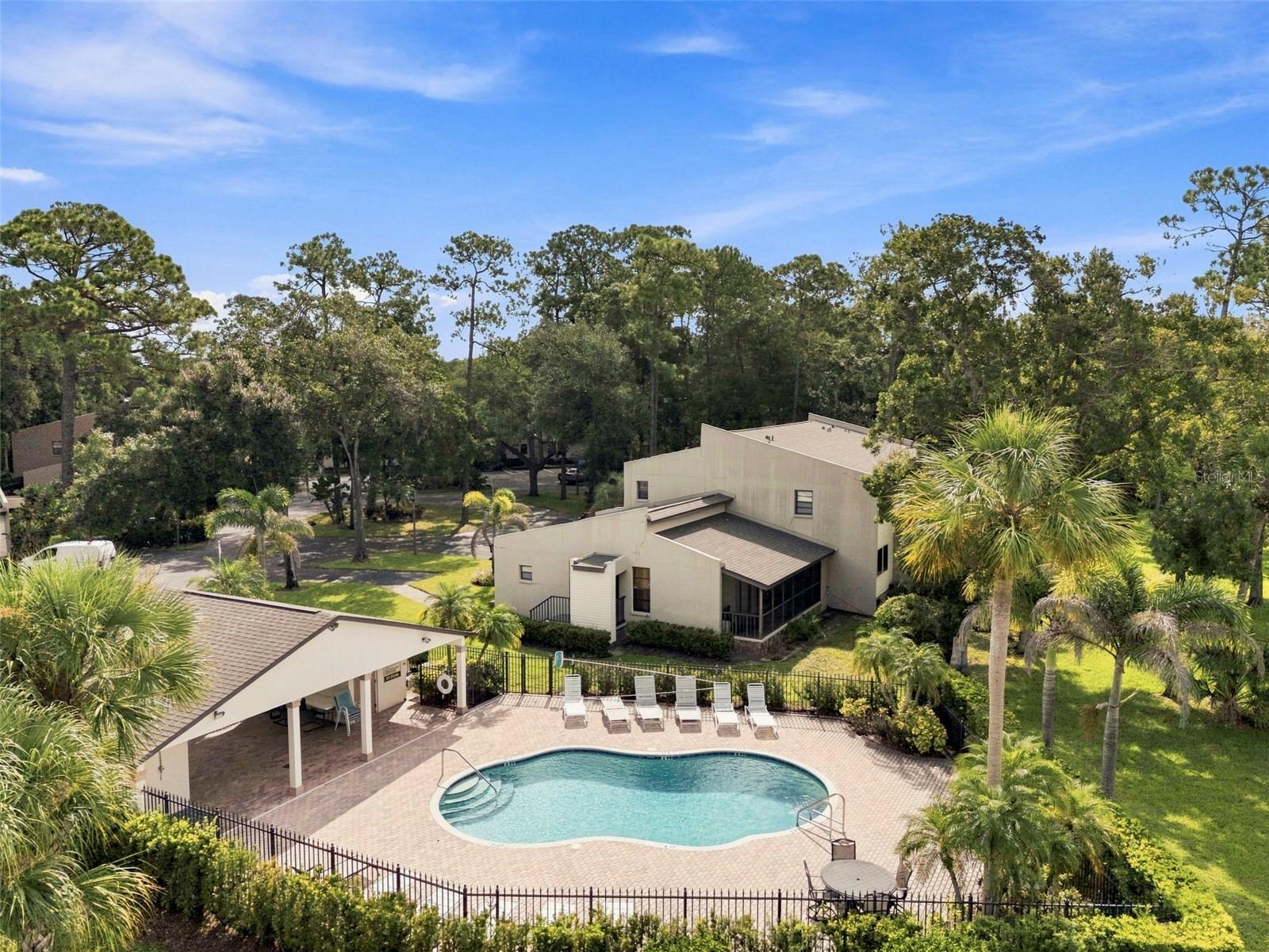 1000 TARPON WOODS BOULEVARD, #302, Palm Harbor, FL 34685