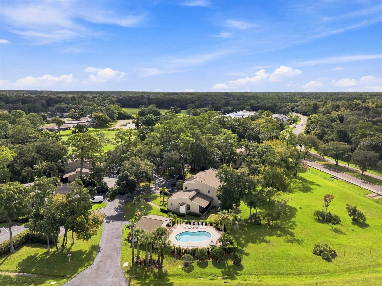 1000 TARPON WOODS BOULEVARD, #302, Palm Harbor, FL 34685