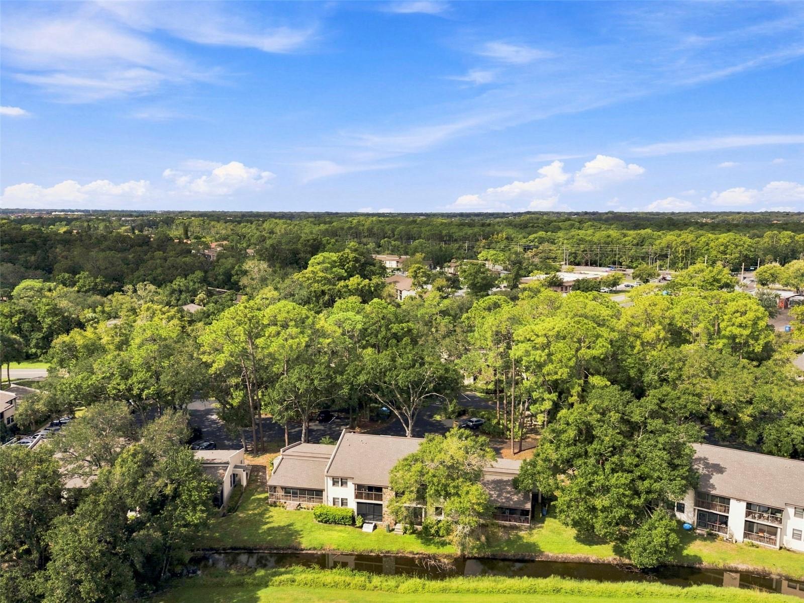 1000 TARPON WOODS BOULEVARD, #302, Palm Harbor, FL 34685
