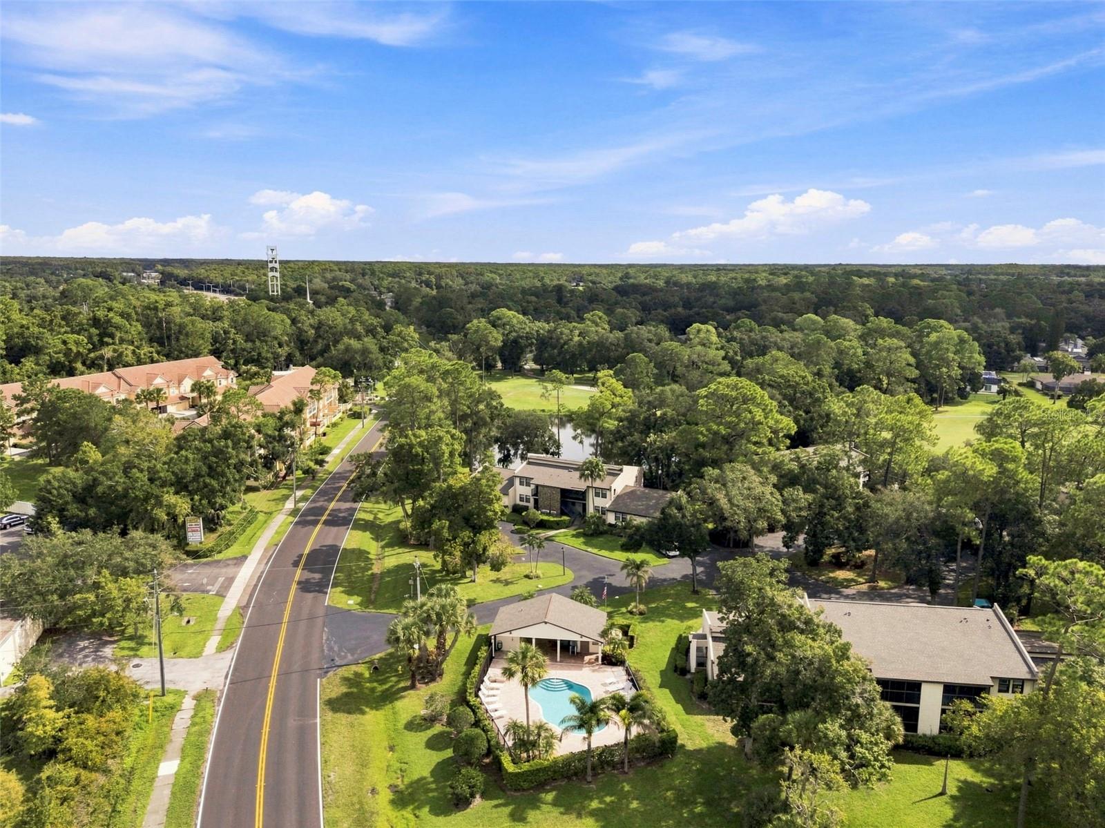 1000 TARPON WOODS BOULEVARD, #302, Palm Harbor, FL 34685